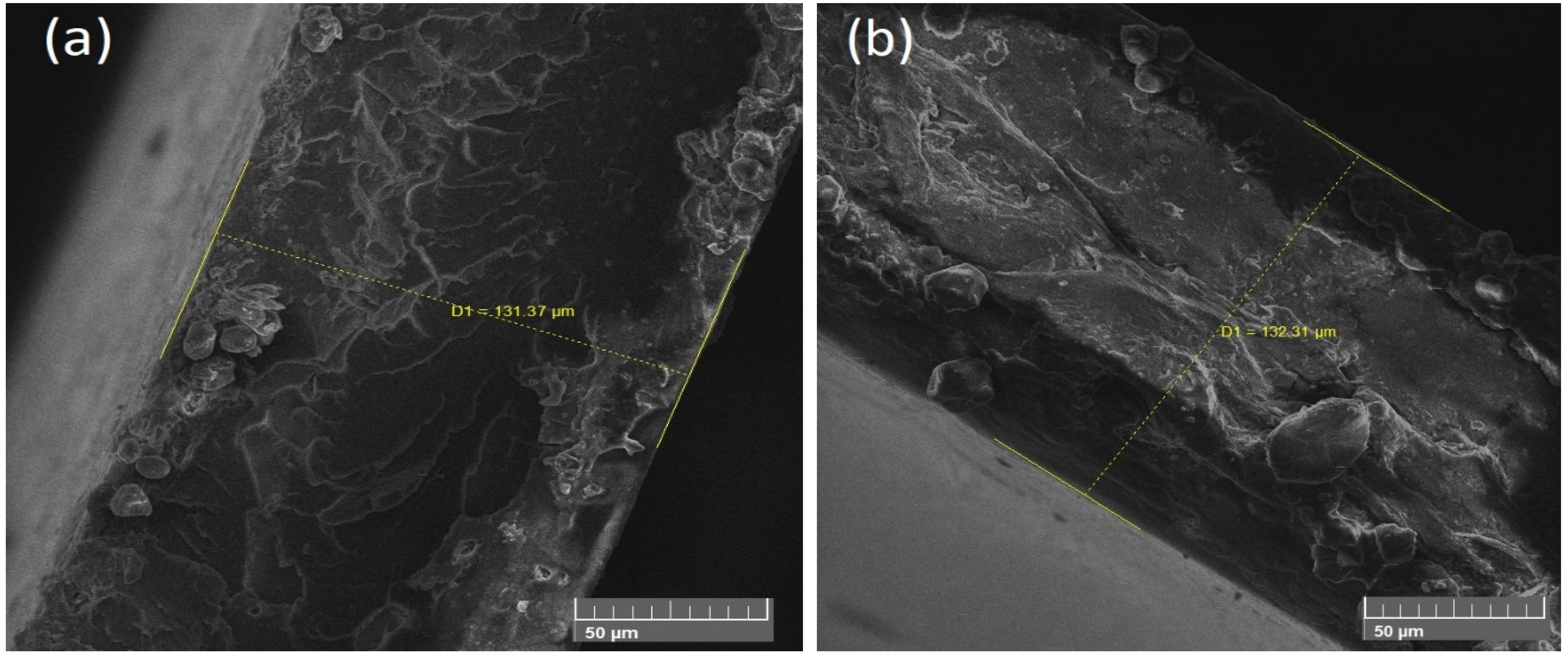 Polymers 13 03316 g005