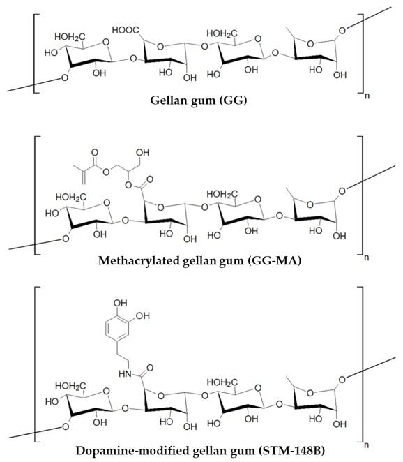 Polymers 13 03317 g001 550