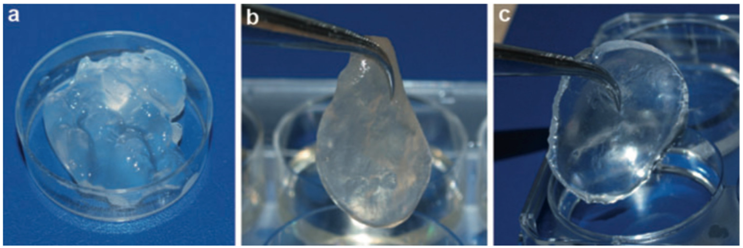 Polymers 13 03321 g001 550