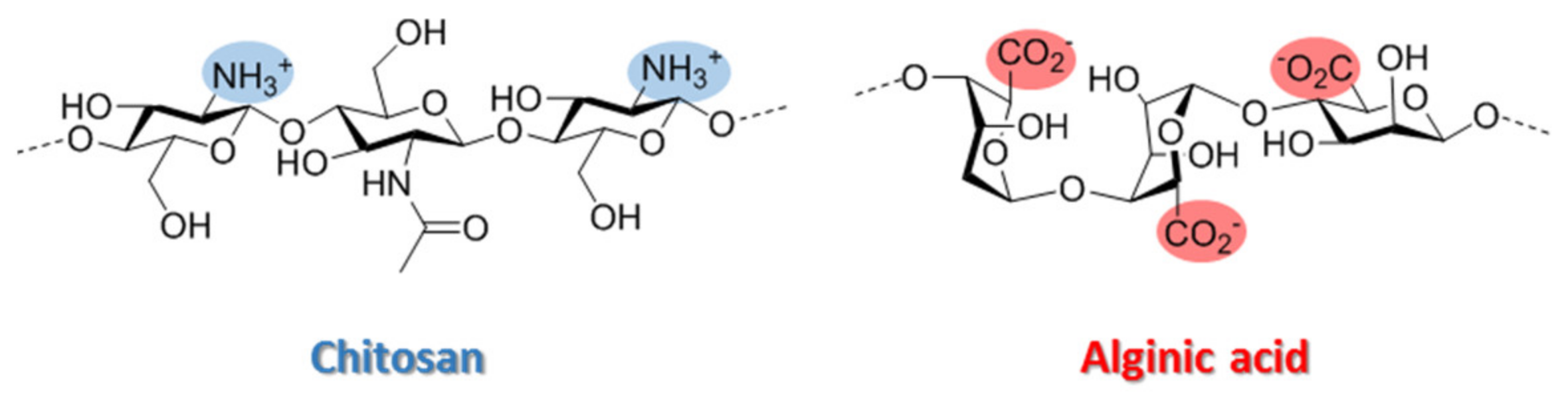 Polymers 13 03326 g001 550