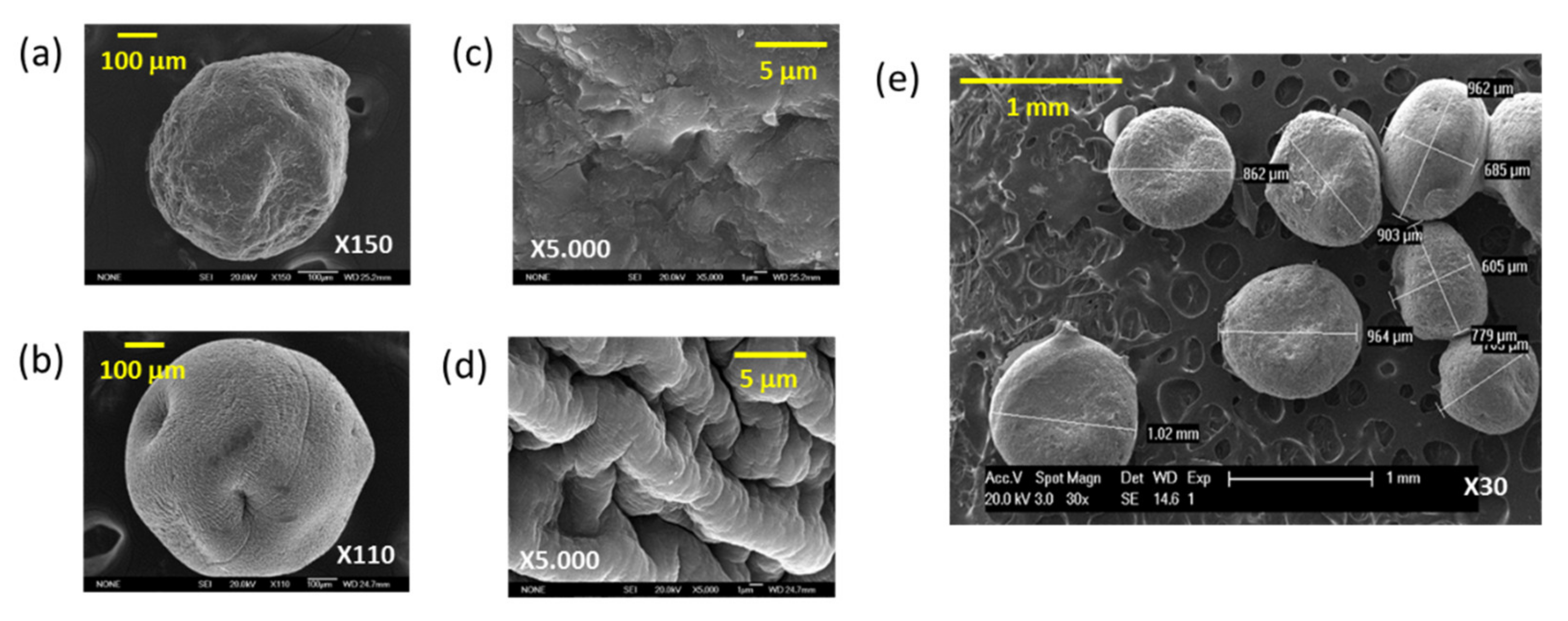 Polymers 13 03326 g004 550