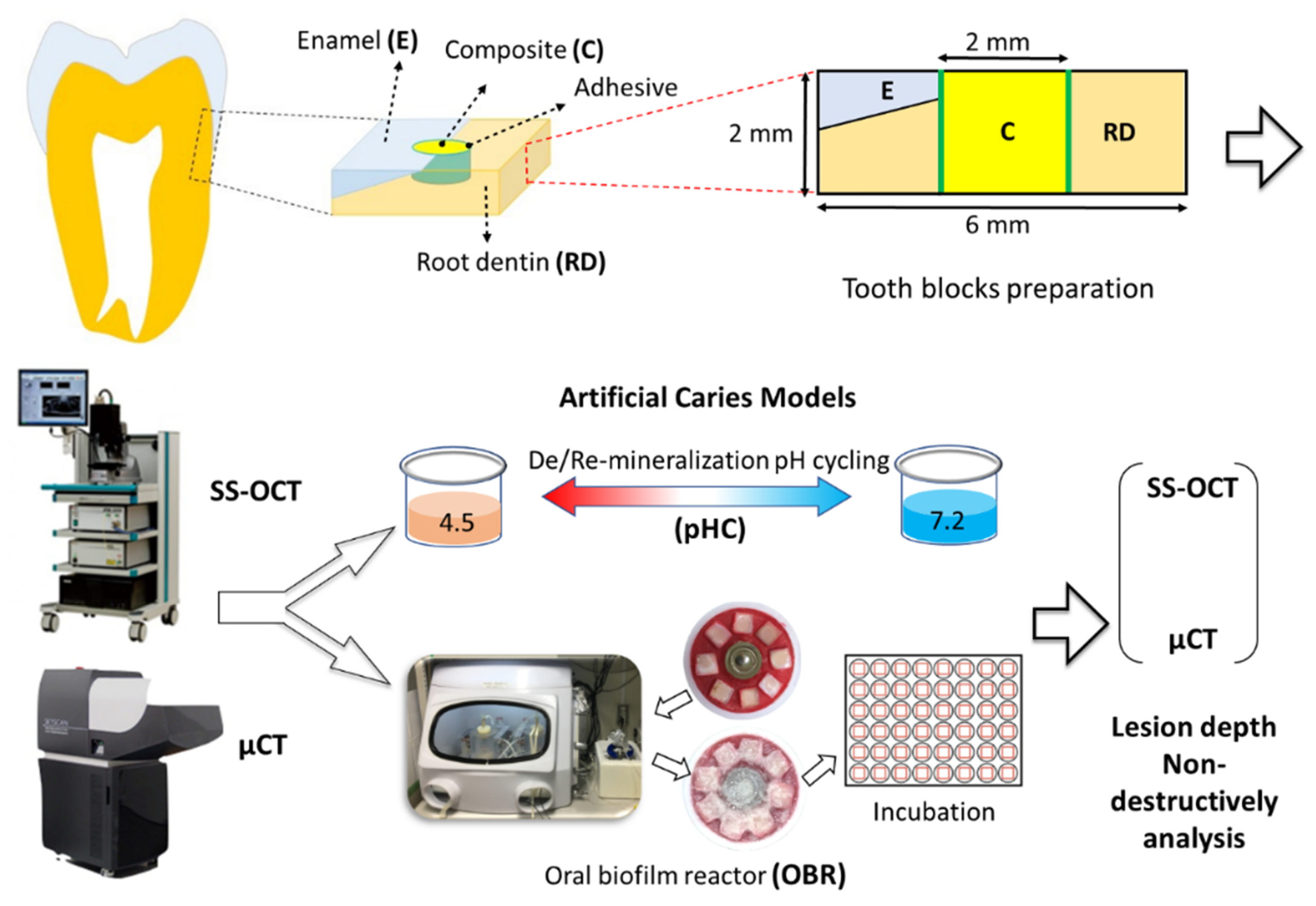 Polymers 13 03327 g001