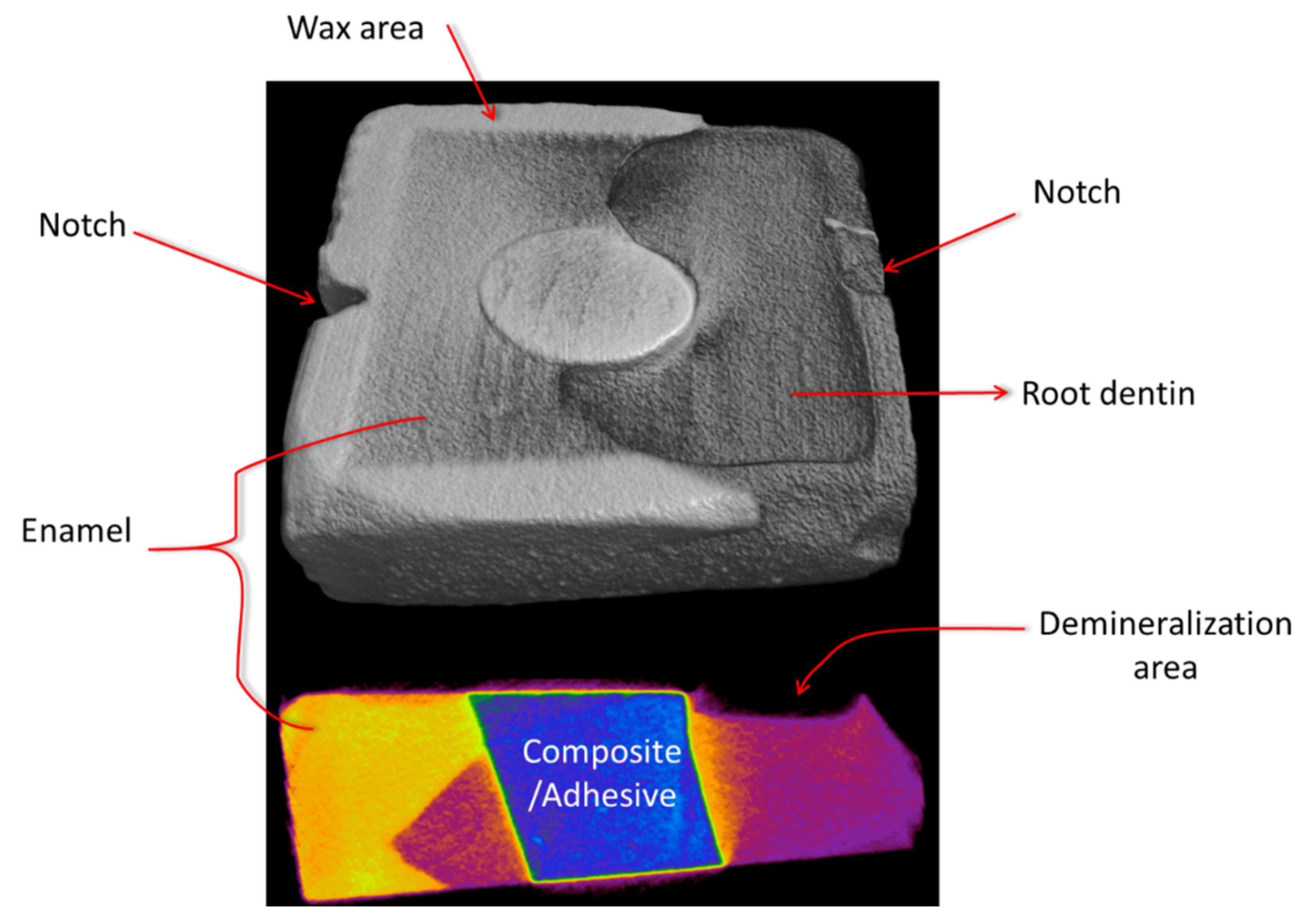 Polymers 13 03327 g002