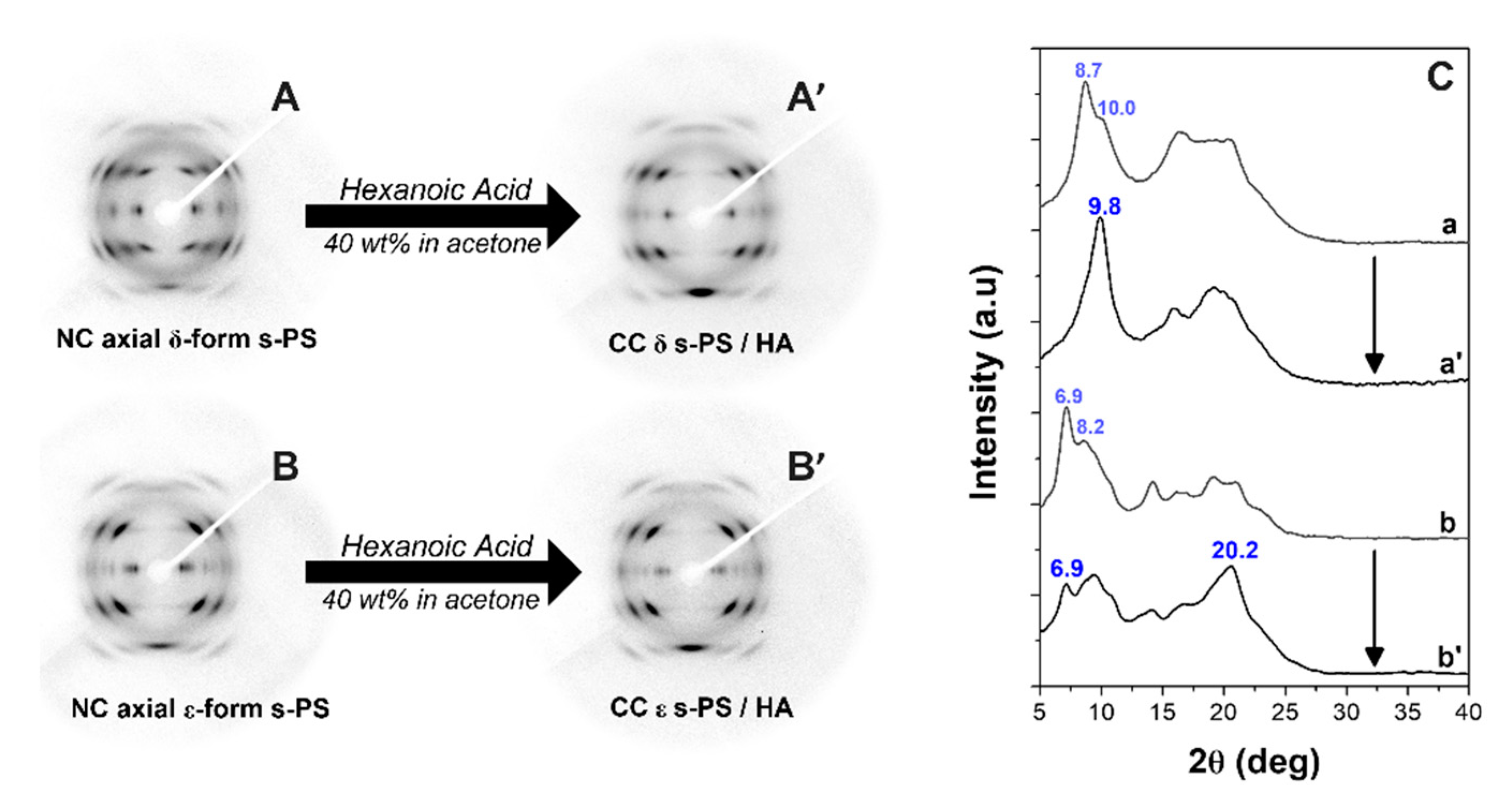Polymers 13 03330 g005 Polymers 13 03330 g005