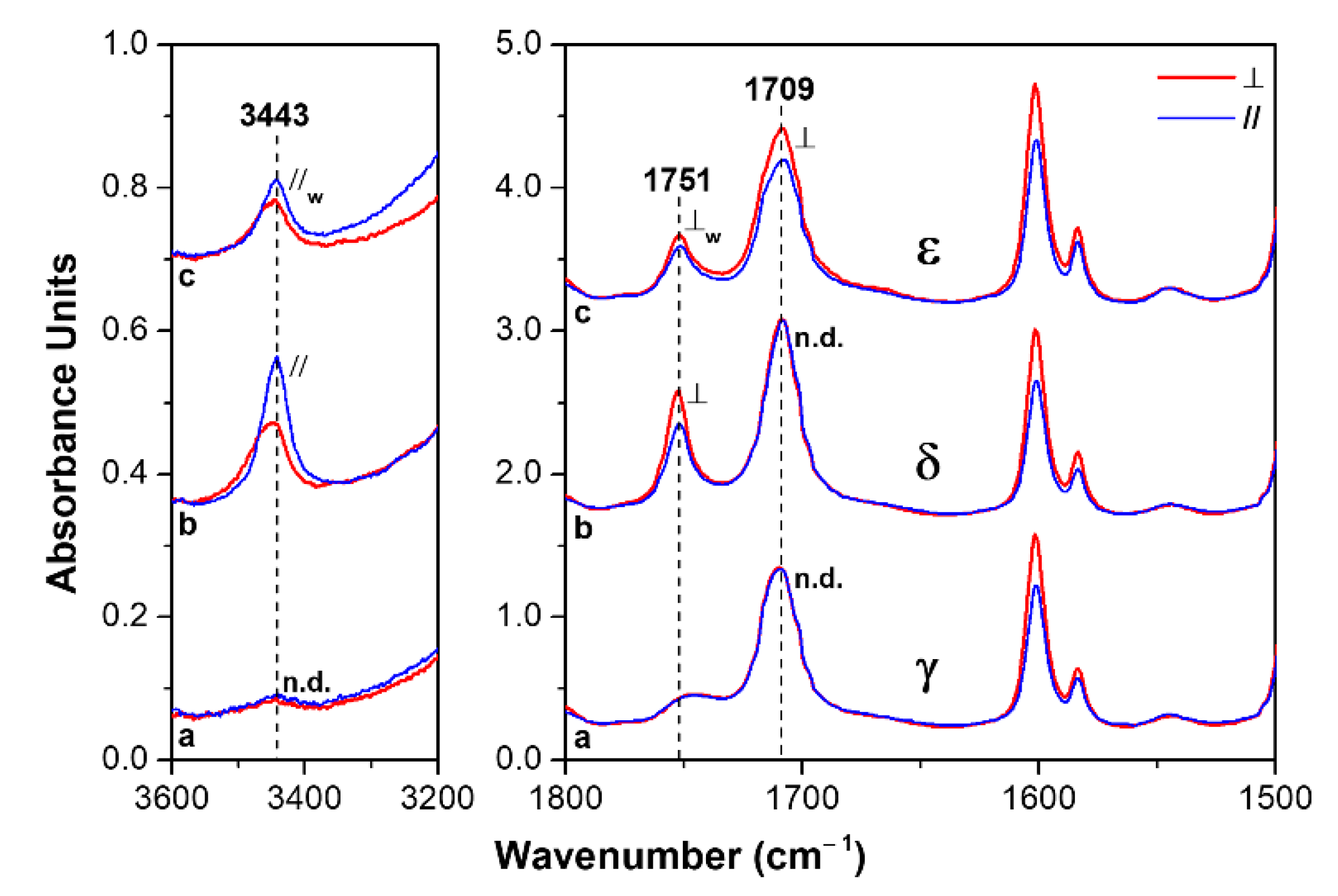 Polymers 13 03330 g006 Polymers 13 03330 g006