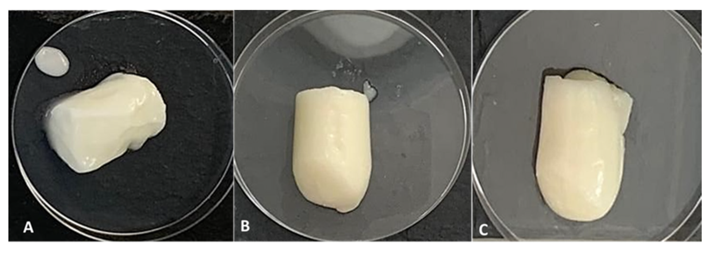 Polymers 13 03331 g004 Polymers 13 03331 g004