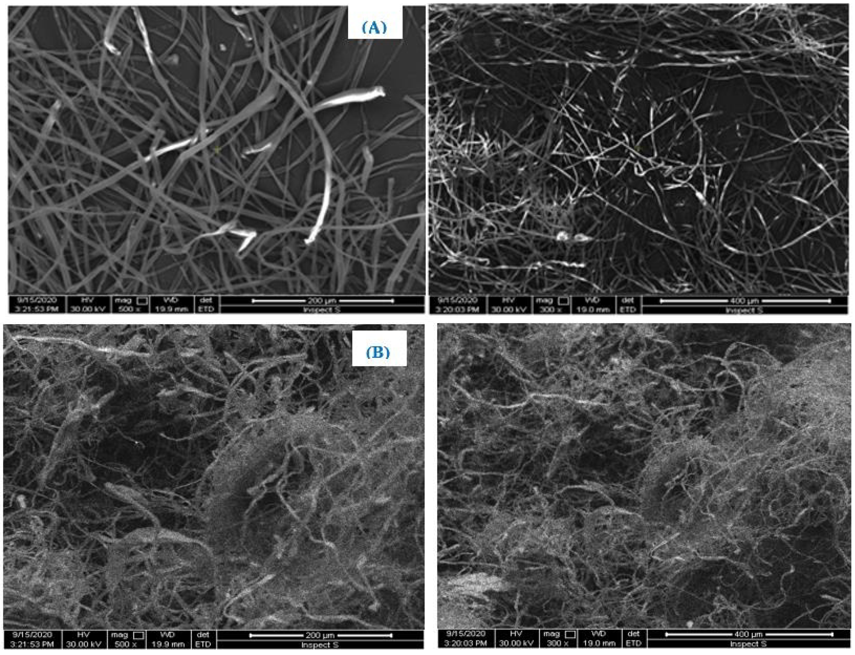 Polymers 13 03334 g002 550