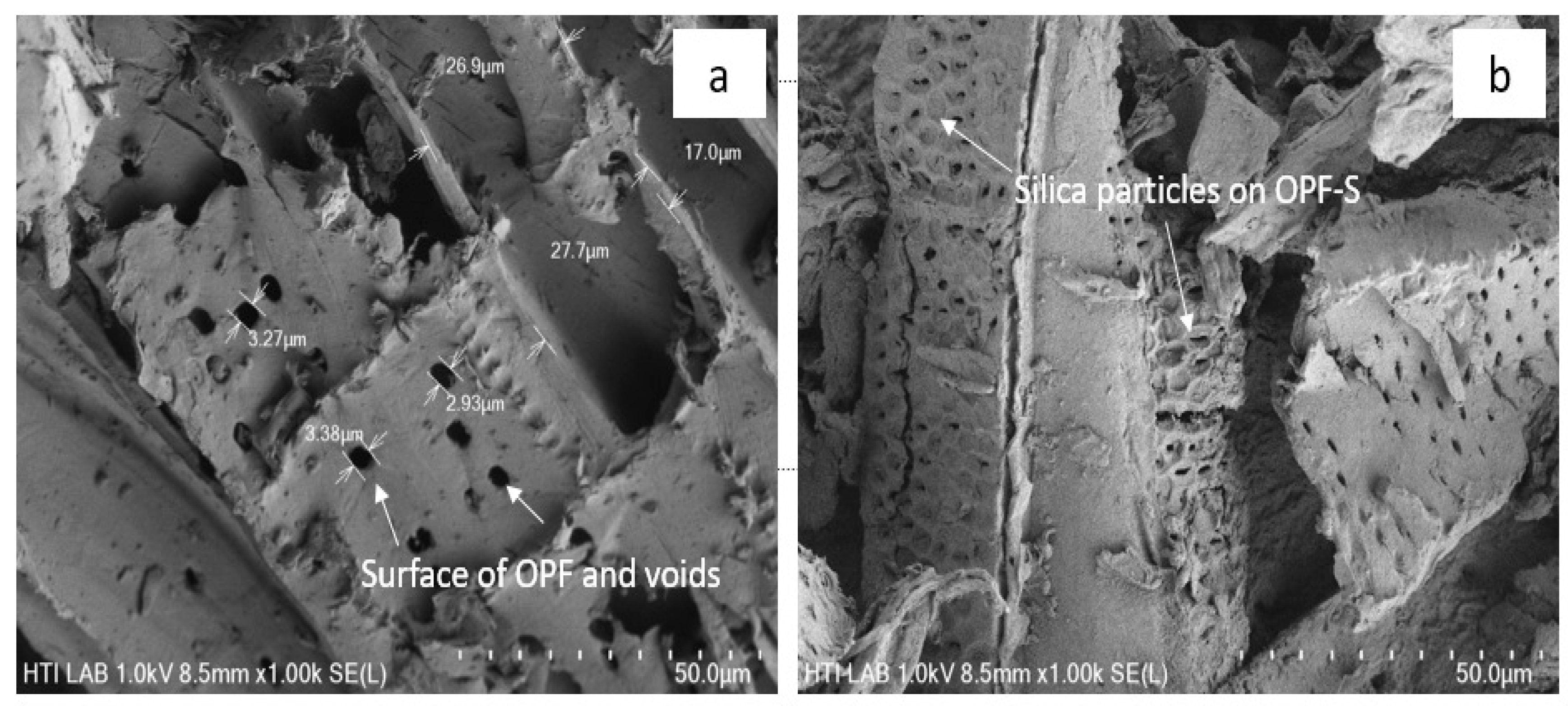 Polymers 13 03338 g005