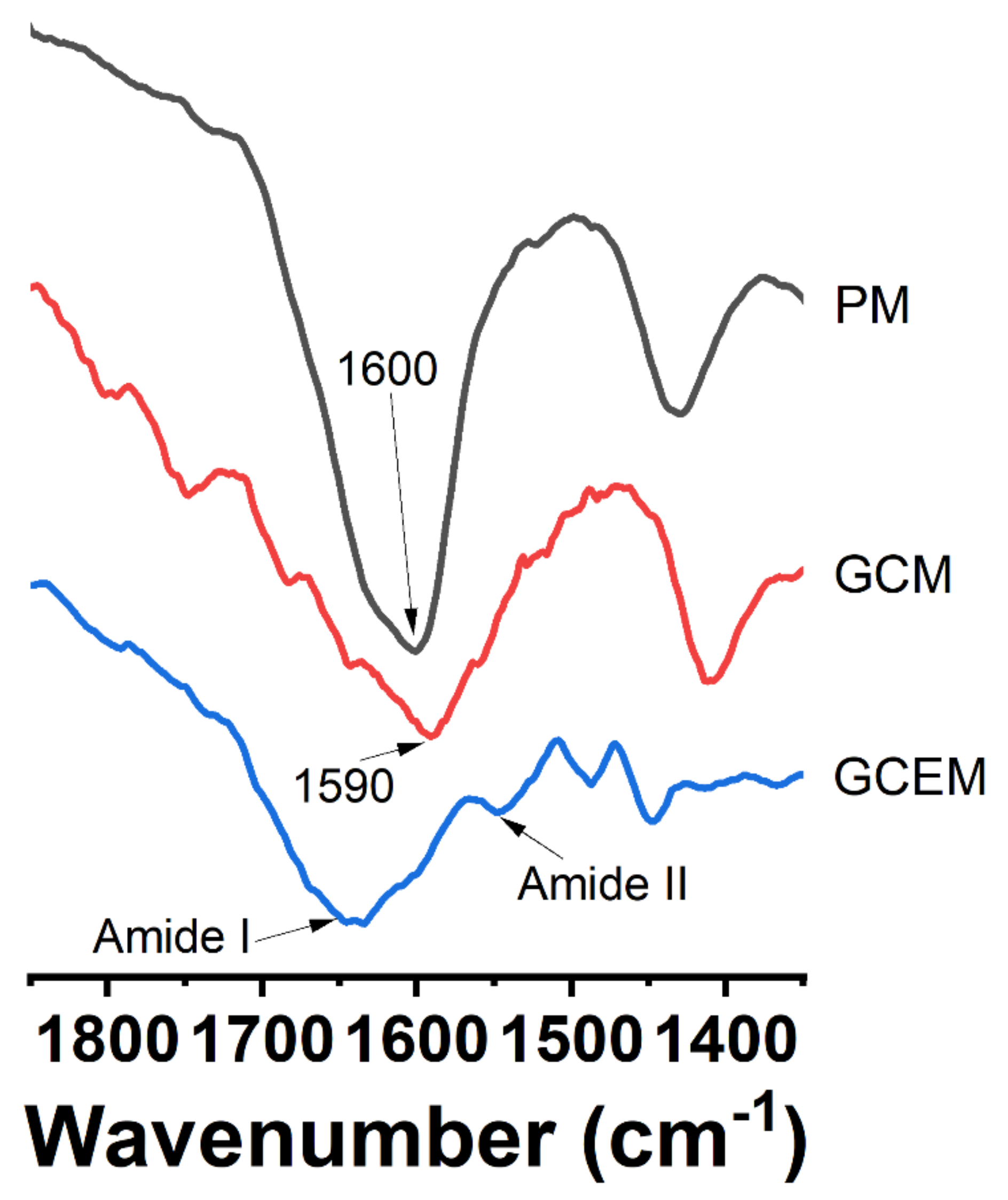 Polymers 13 03339 g006