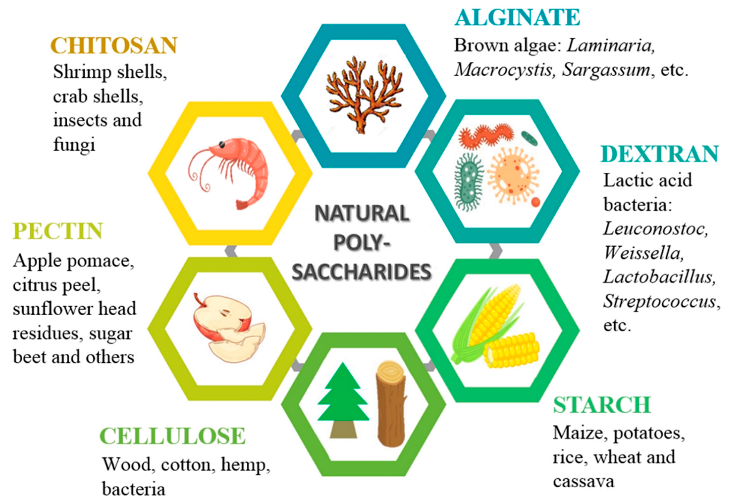 Polymers 13 03342 g001 Polymers 13 03342 g001
