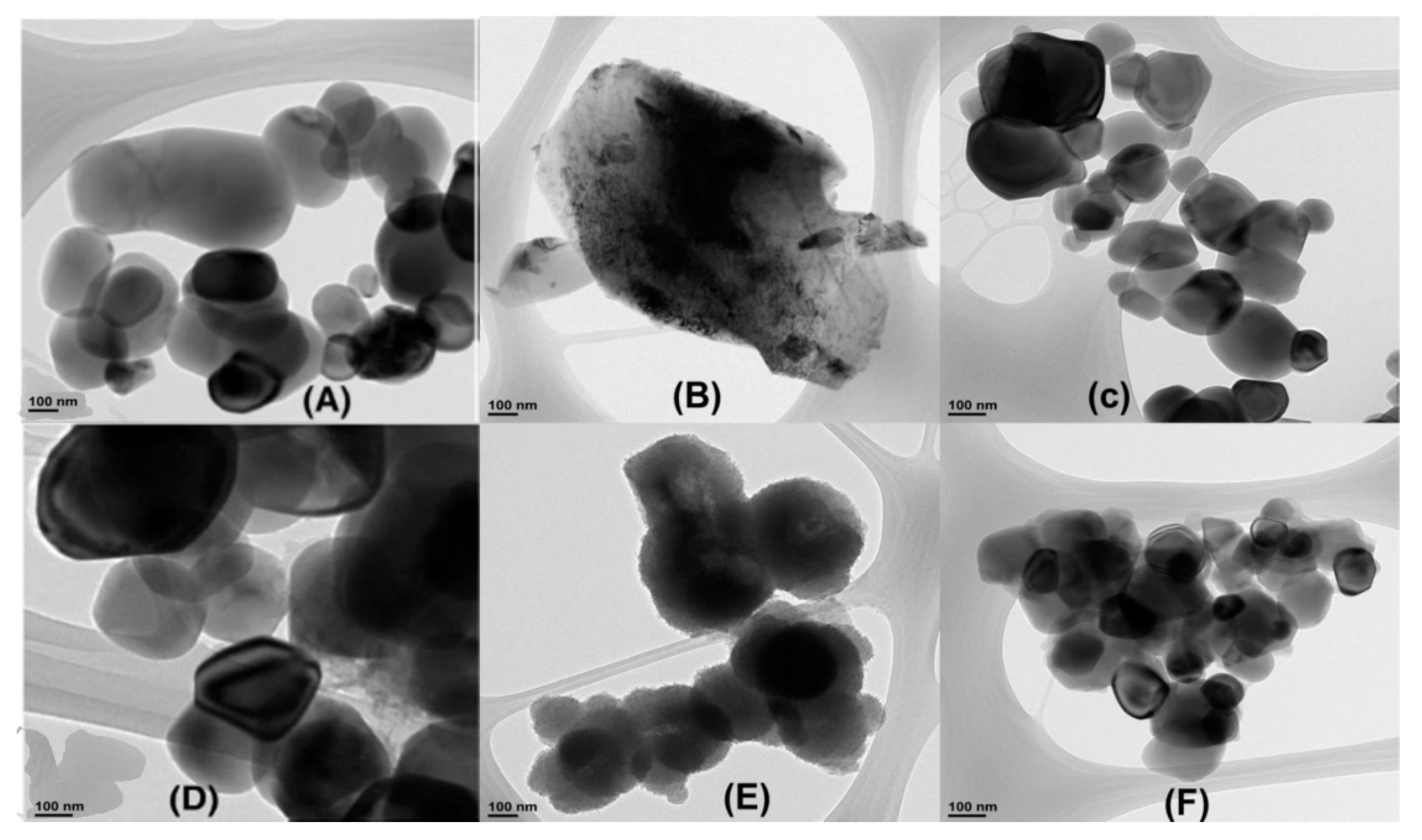 Polymers 13 03344 g007