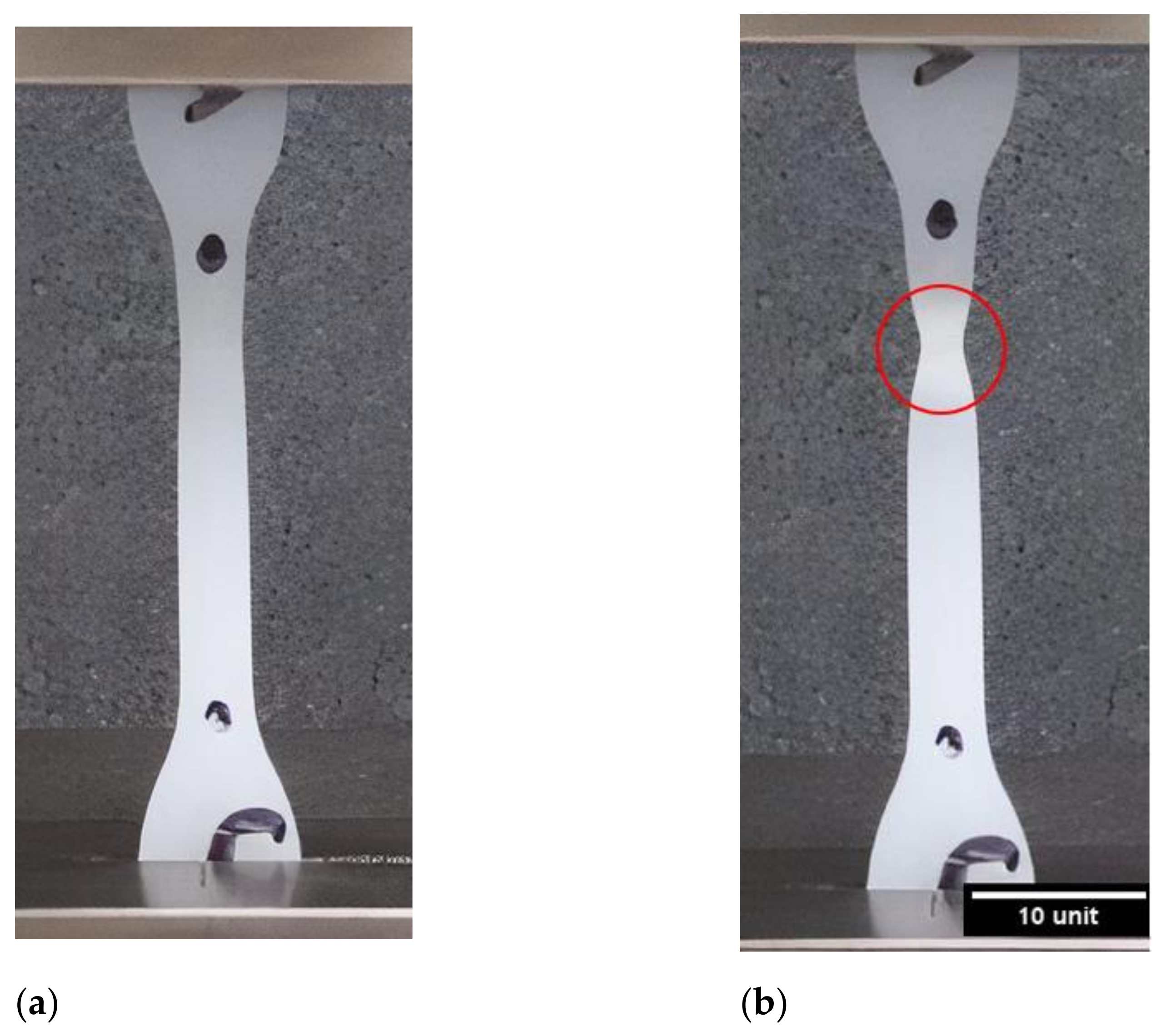 Polymers 13 03346 g003