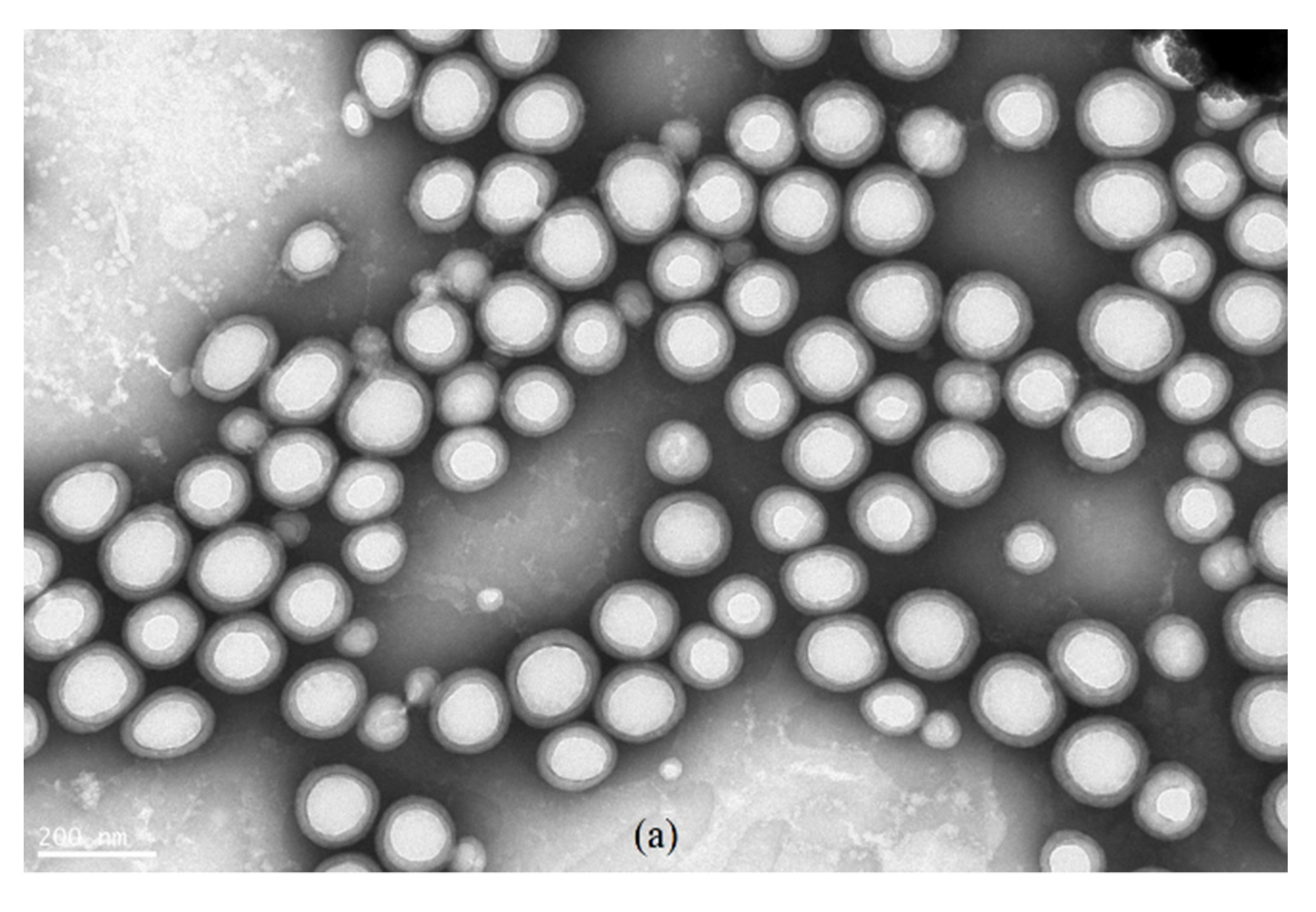 Polymers 13 03348 g007a 550