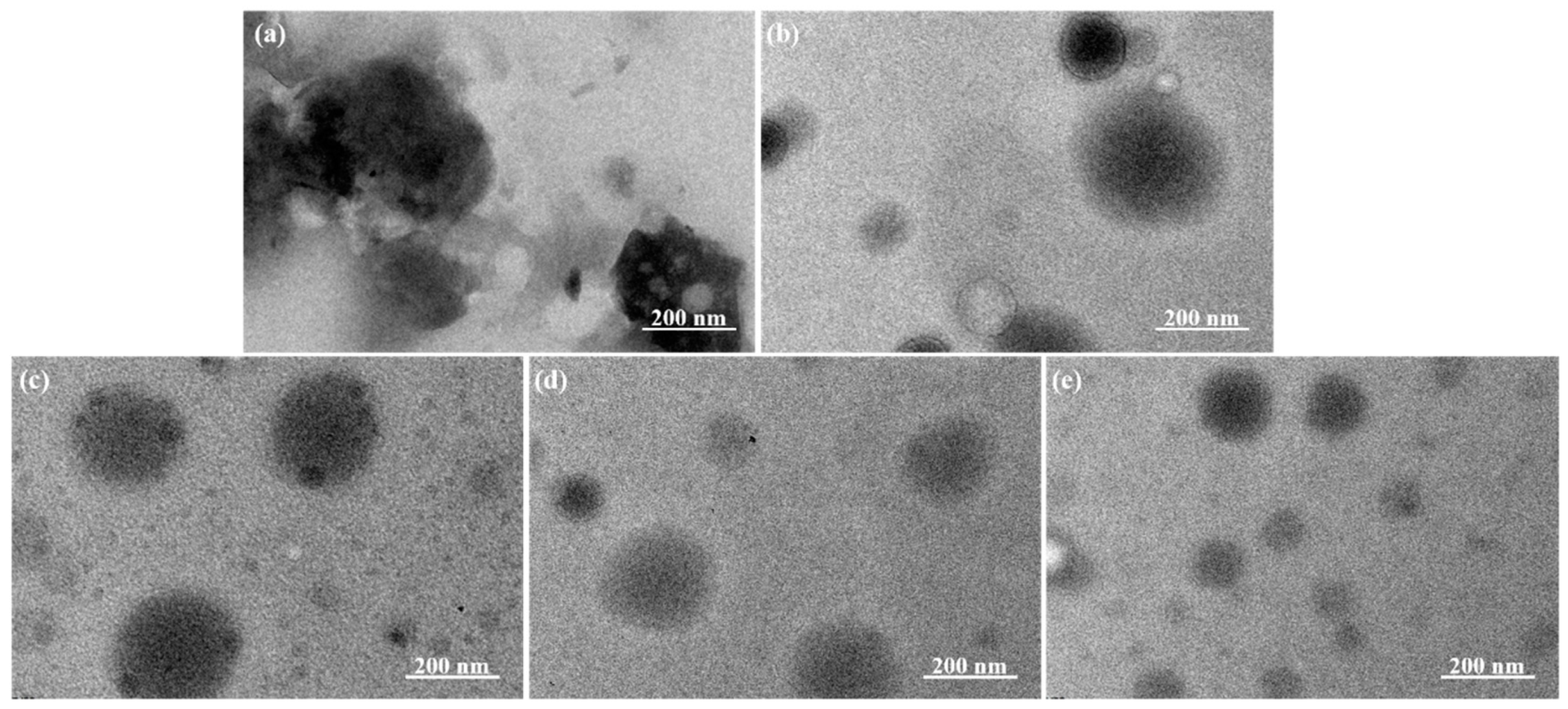 Polymers 13 03351 g006
