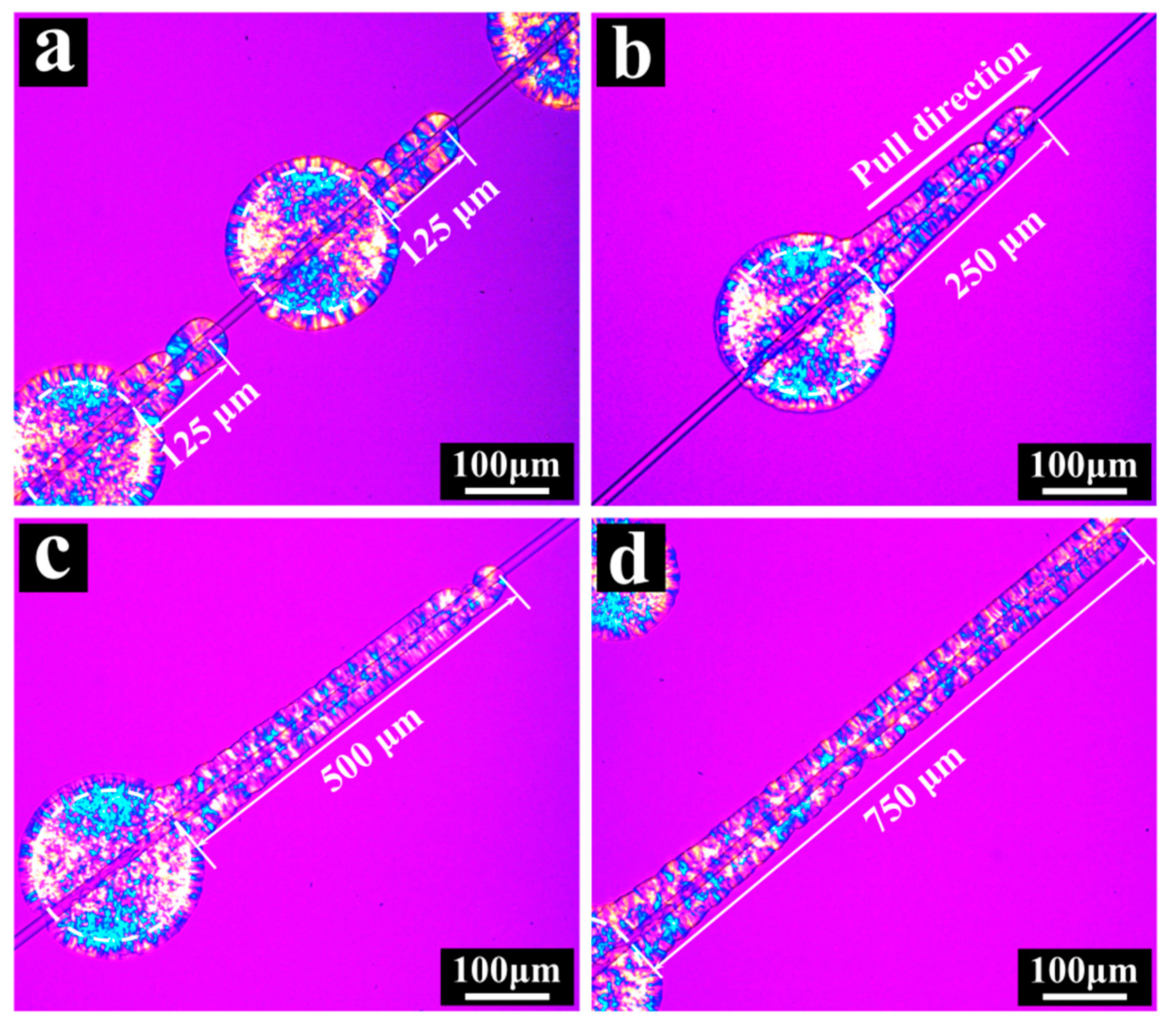 Polymers 13 03354 g004