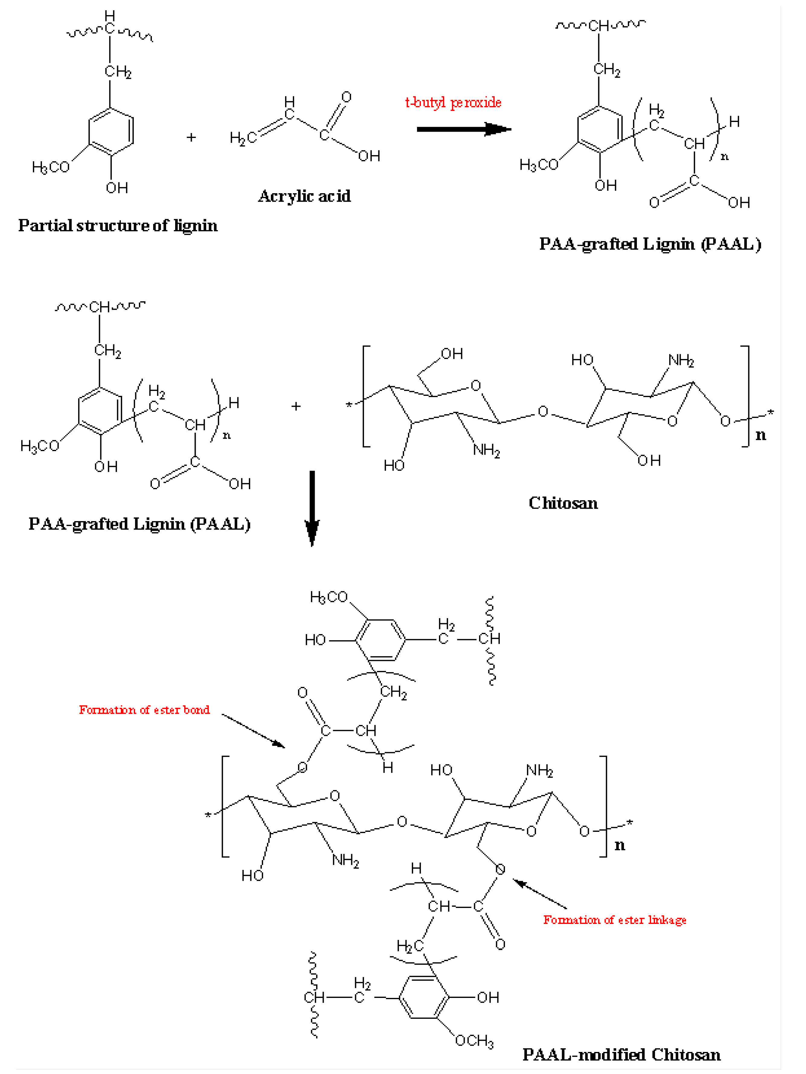 Polymers 13 03355 g002