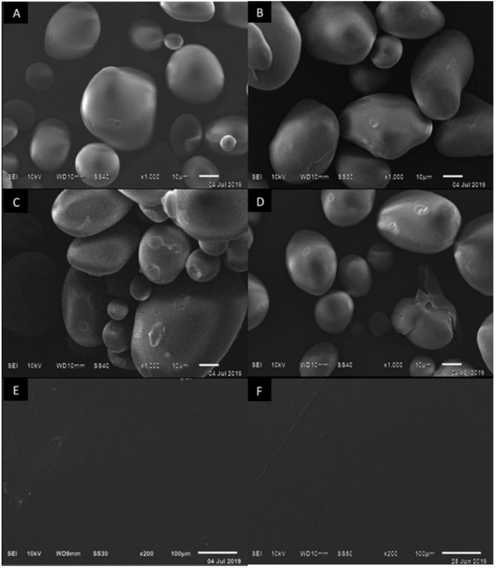 Polymers 13 03356 g002