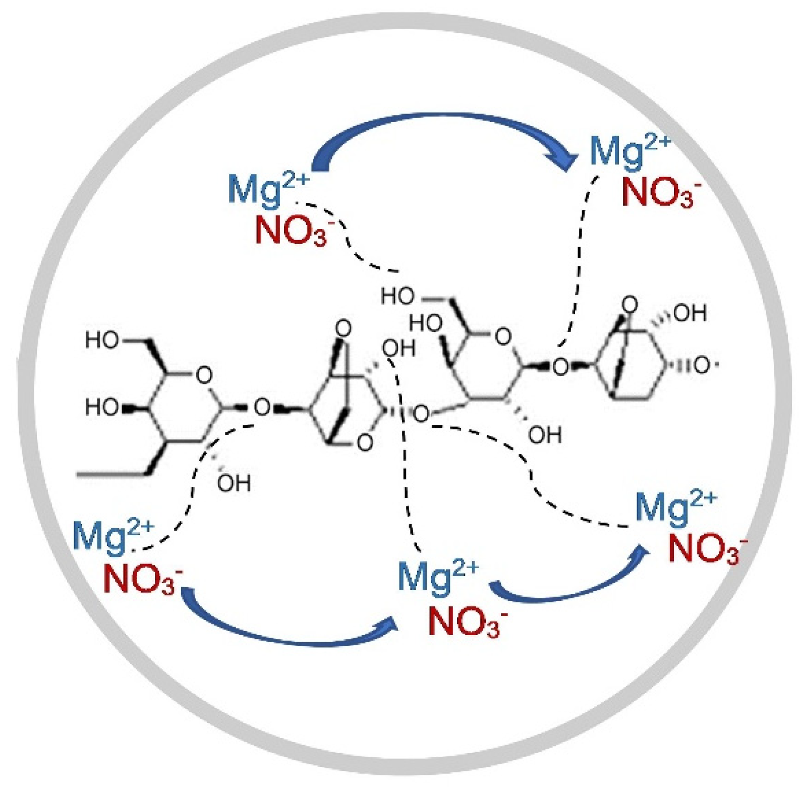 Polymers 13 03357 g007
