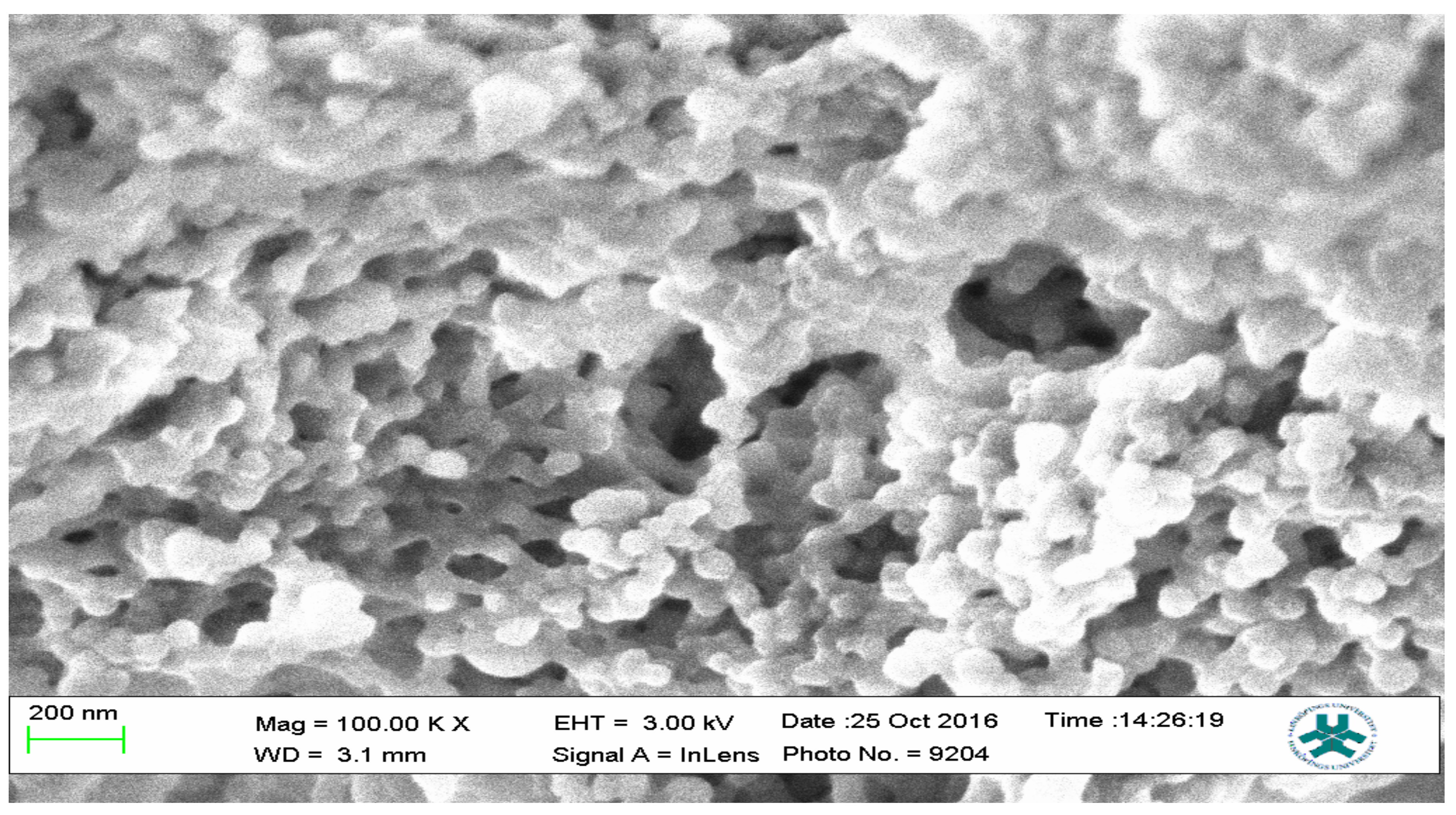 Polymers 13 03363 g012