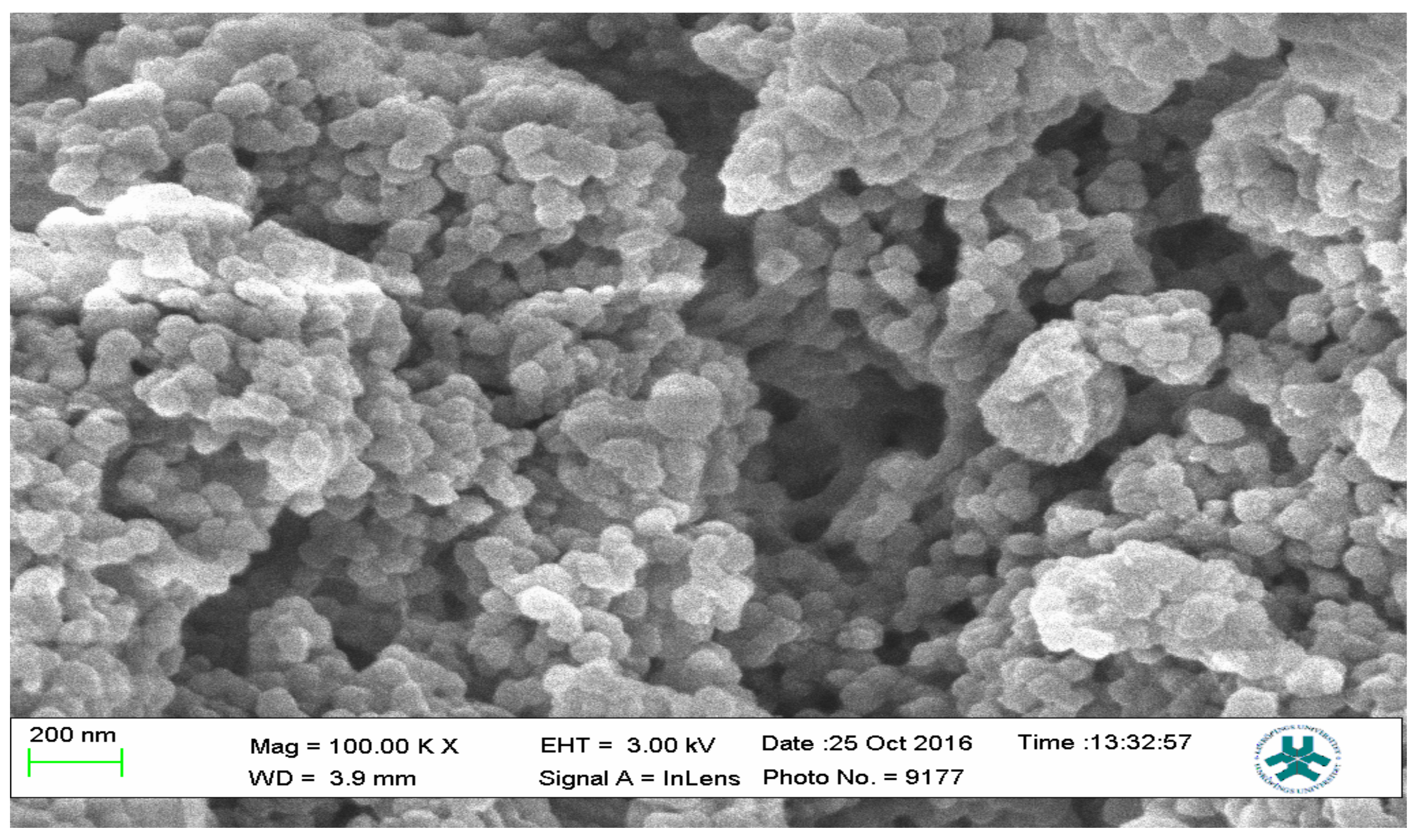Polymers 13 03363 g013