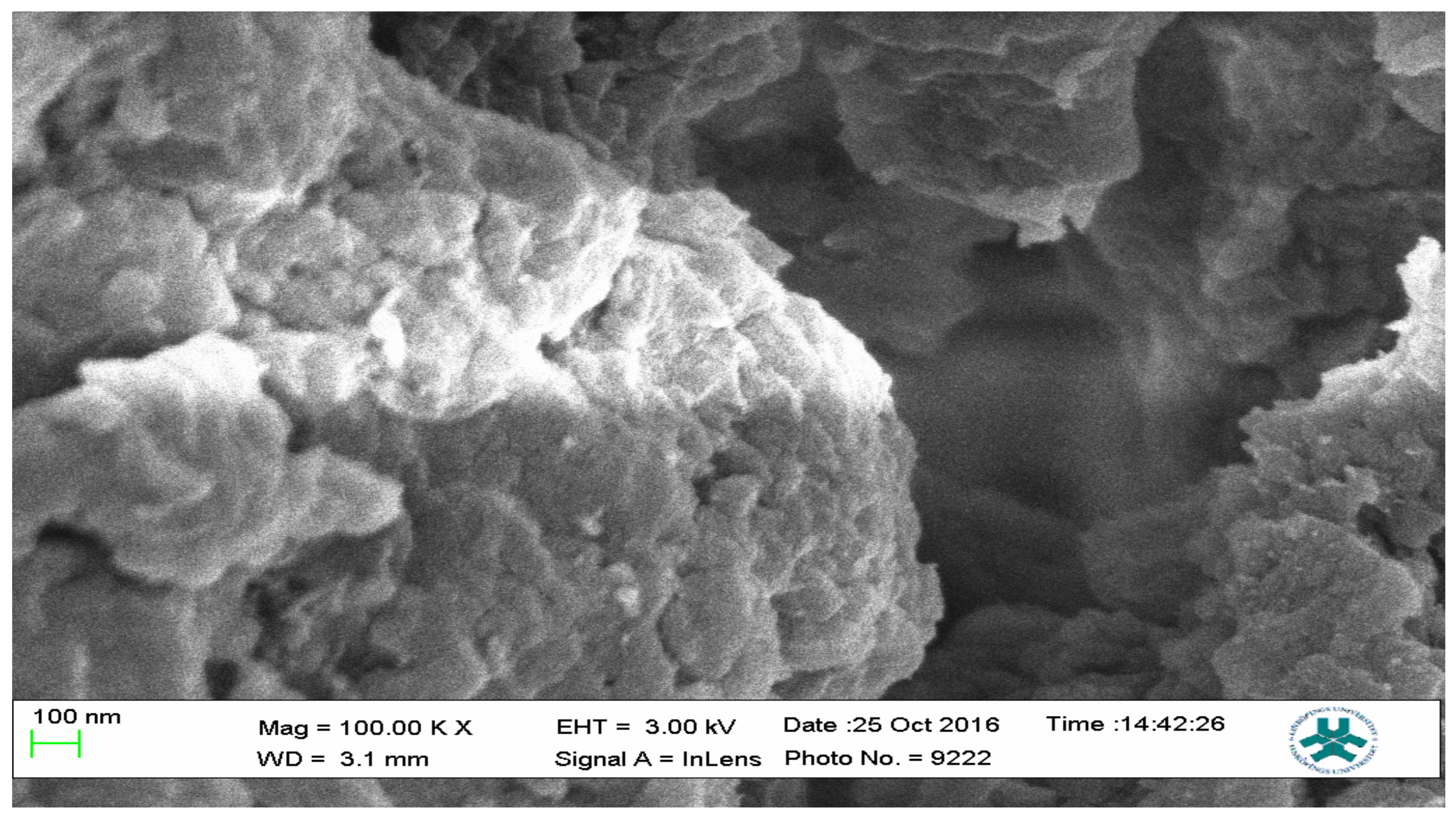 Polymers 13 03363 g014