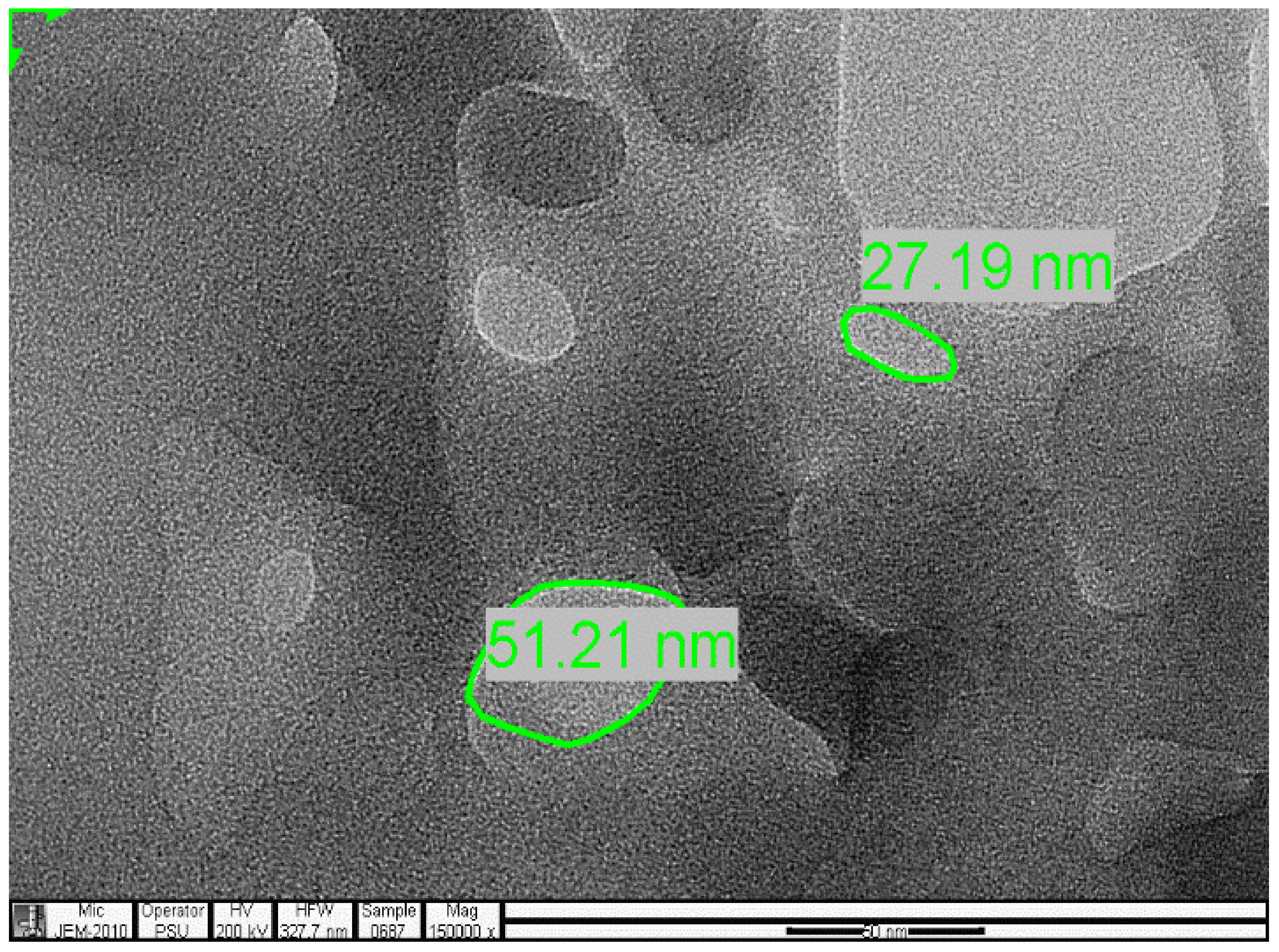 Polymers 13 03363 g016