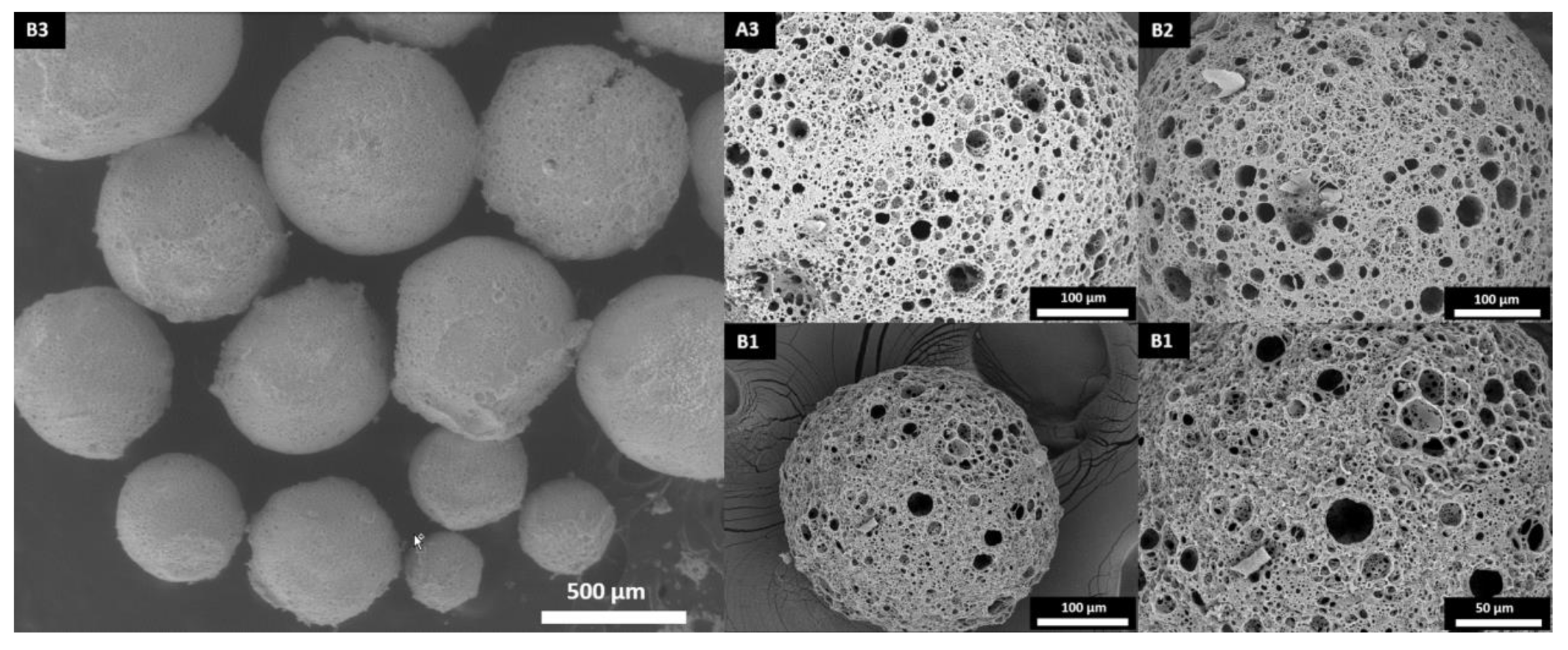 Polymers 13 03366 g003 Polymers 13 03366 g003