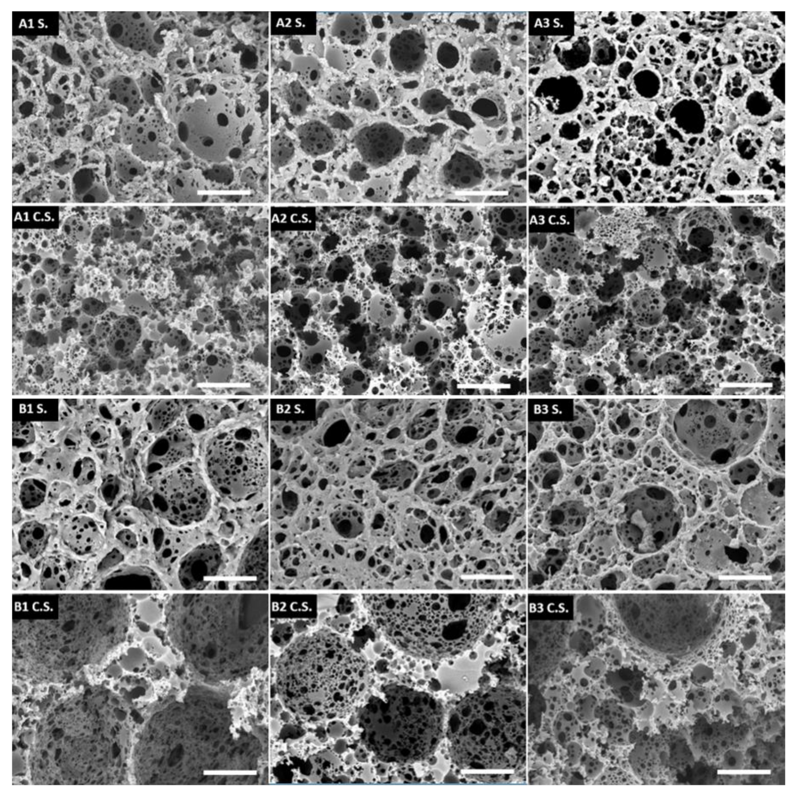Polymers 13 03366 g004 Polymers 13 03366 g004