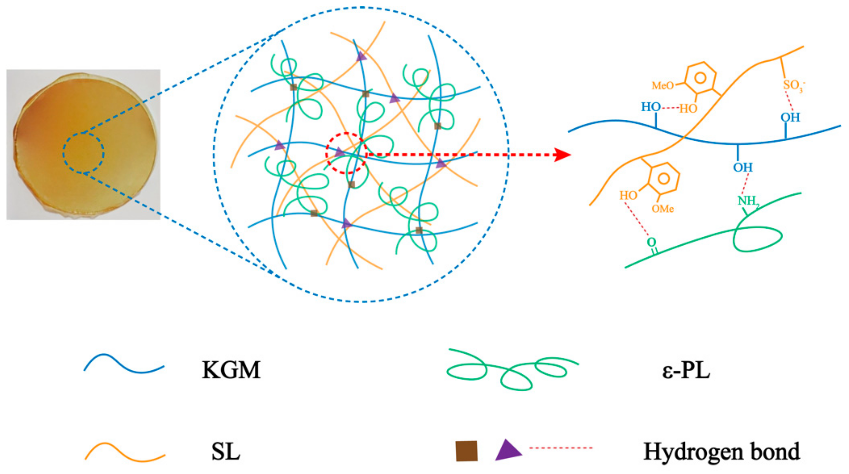 Polymers 13 03367 g001