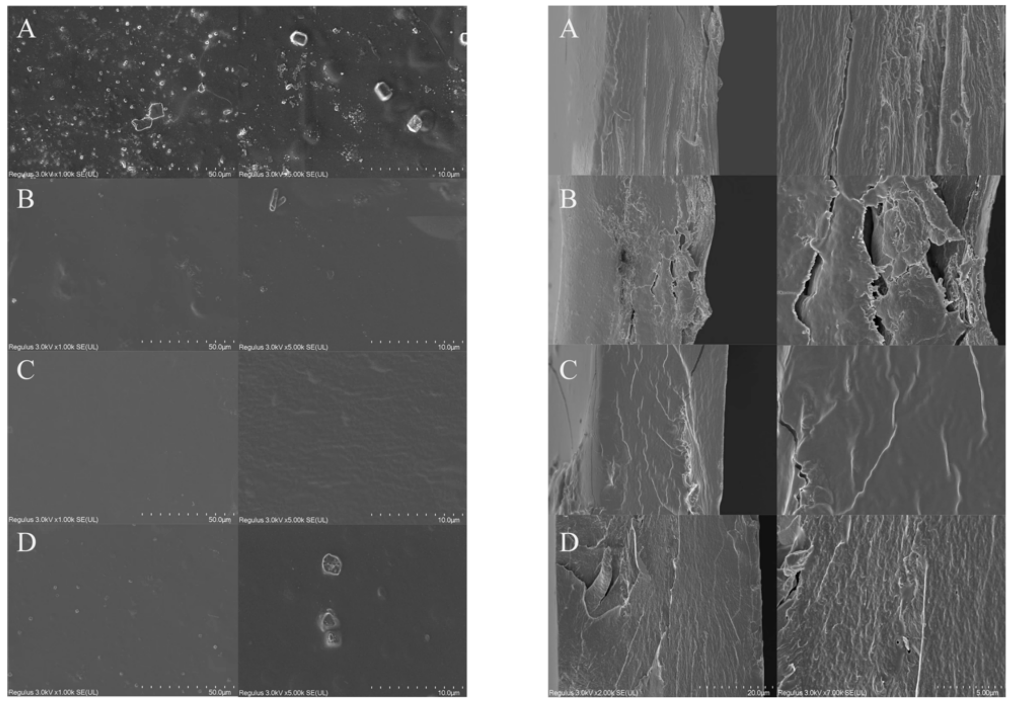 Polymers 13 03367 g003