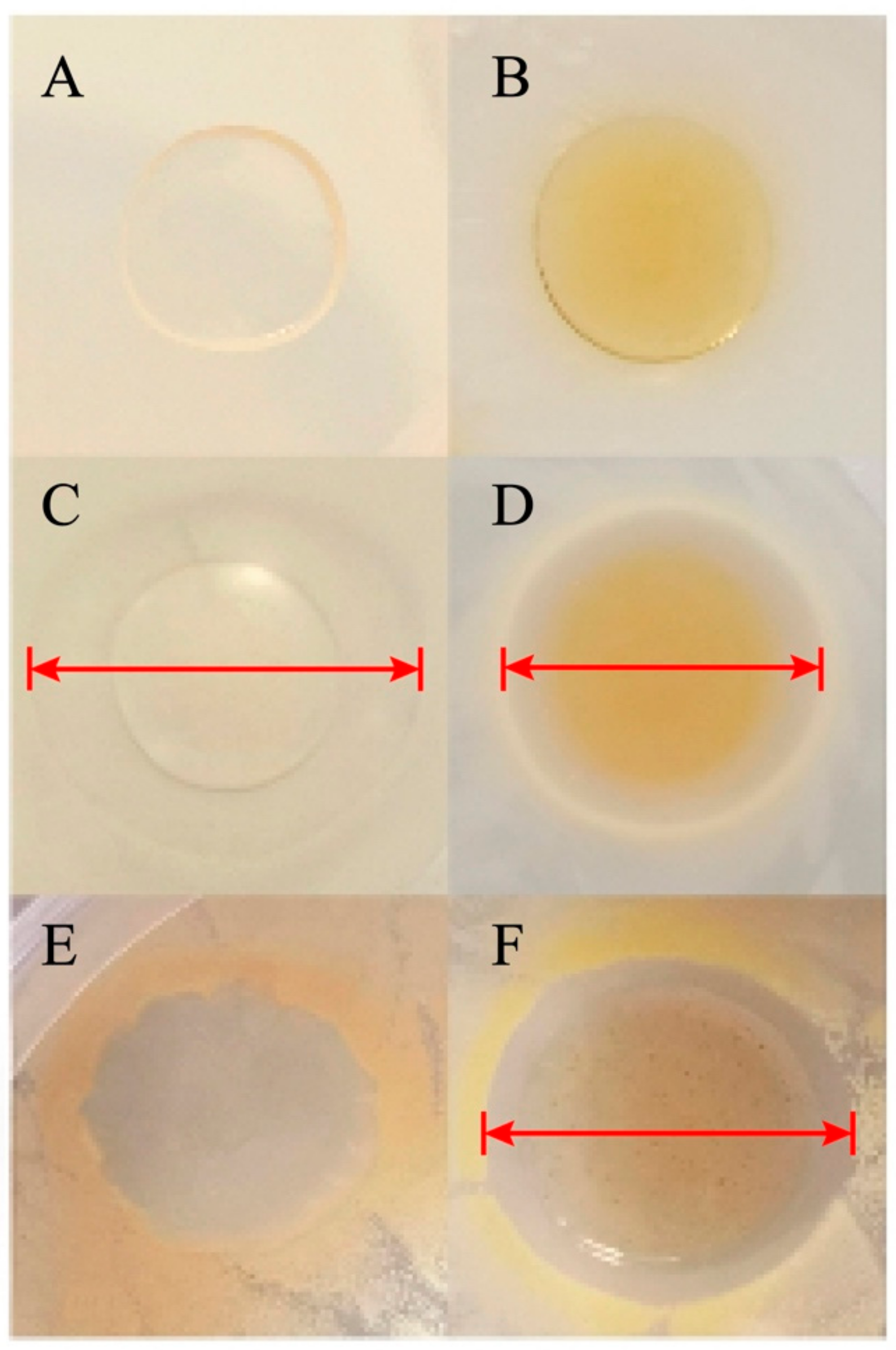 Polymers 13 03367 g005