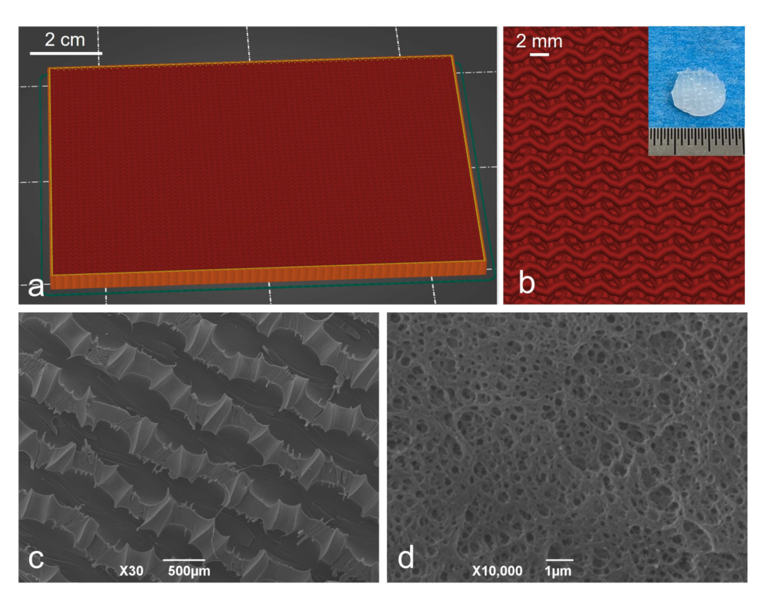 Polymers 13 03372 g001 550