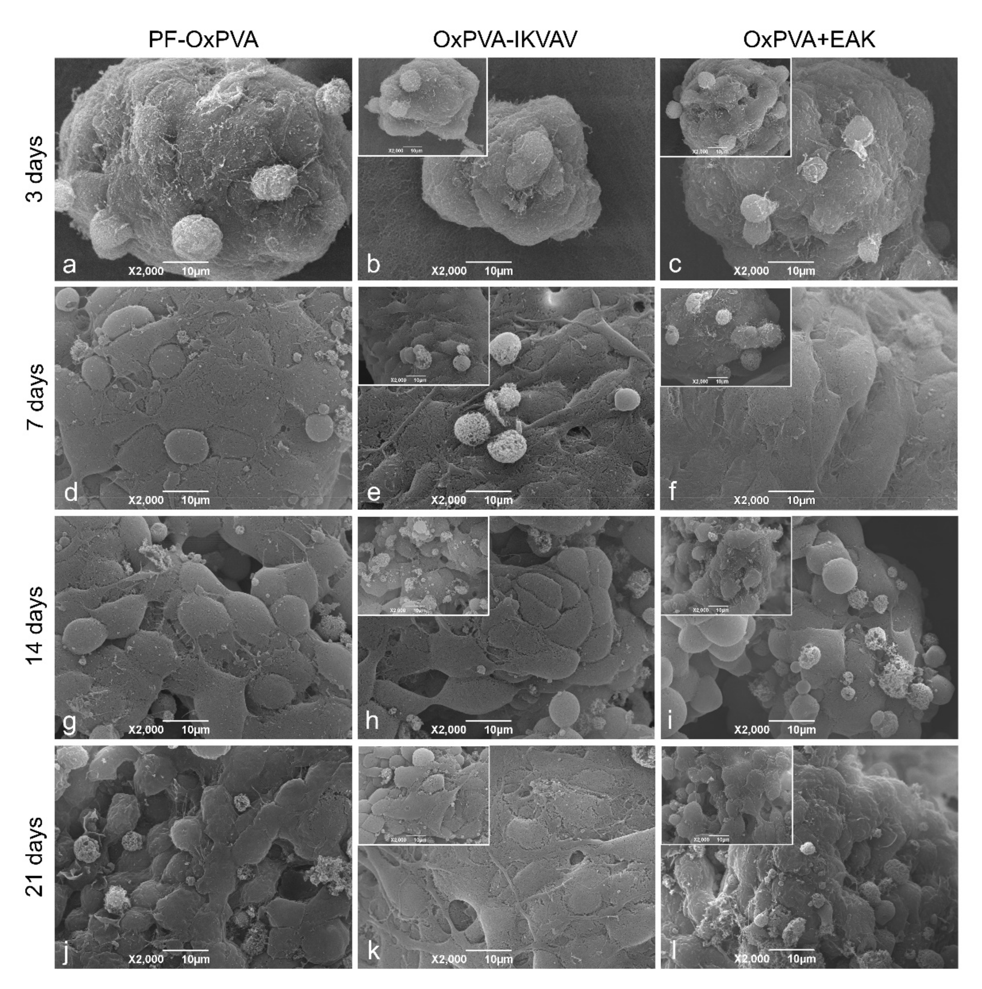 Polymers 13 03372 g007 550