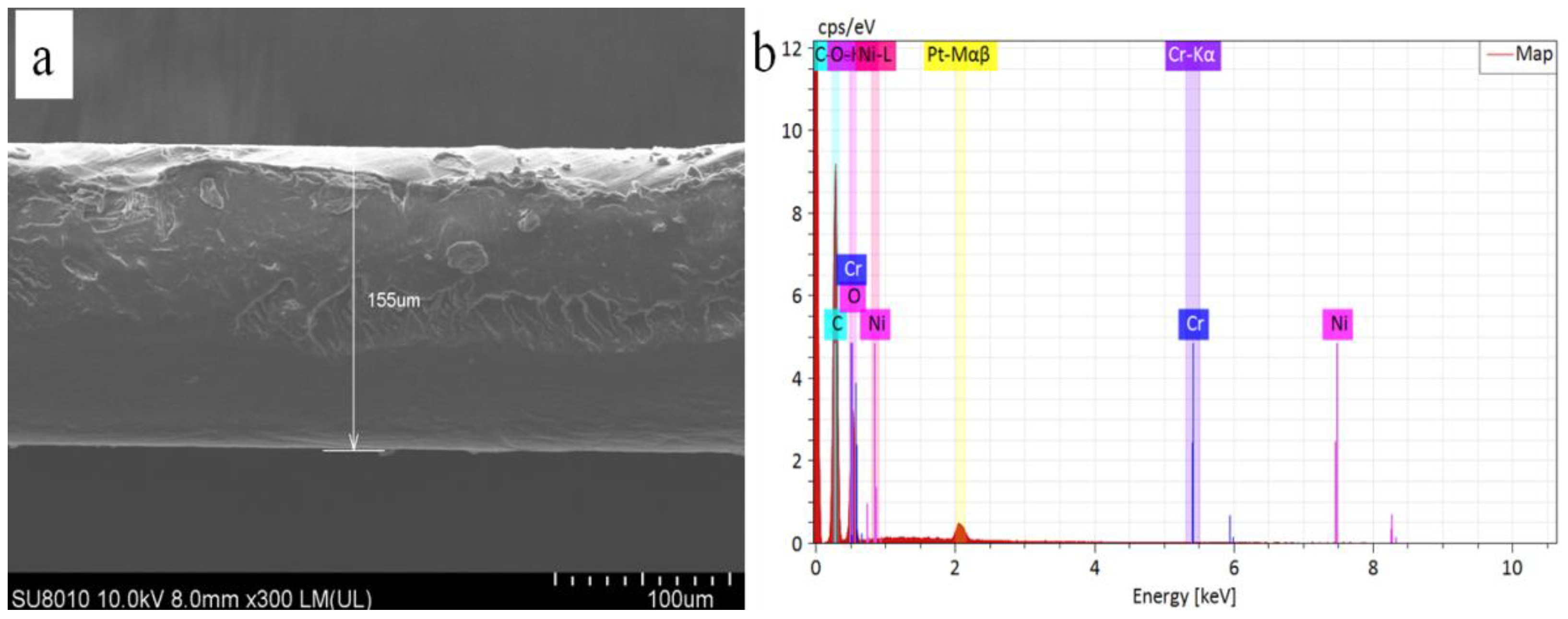 Polymers 13 03377 g001 550