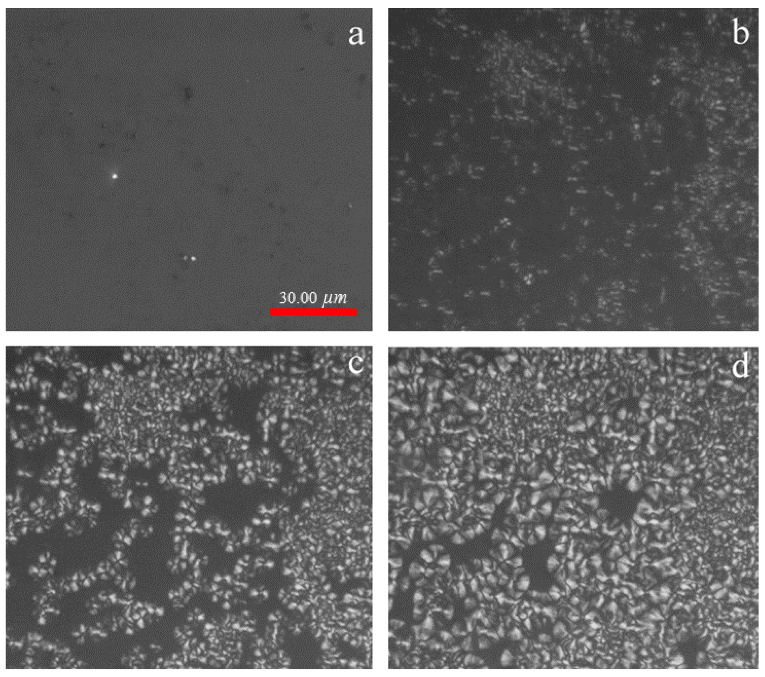 Polymers 13 03377 g003 550