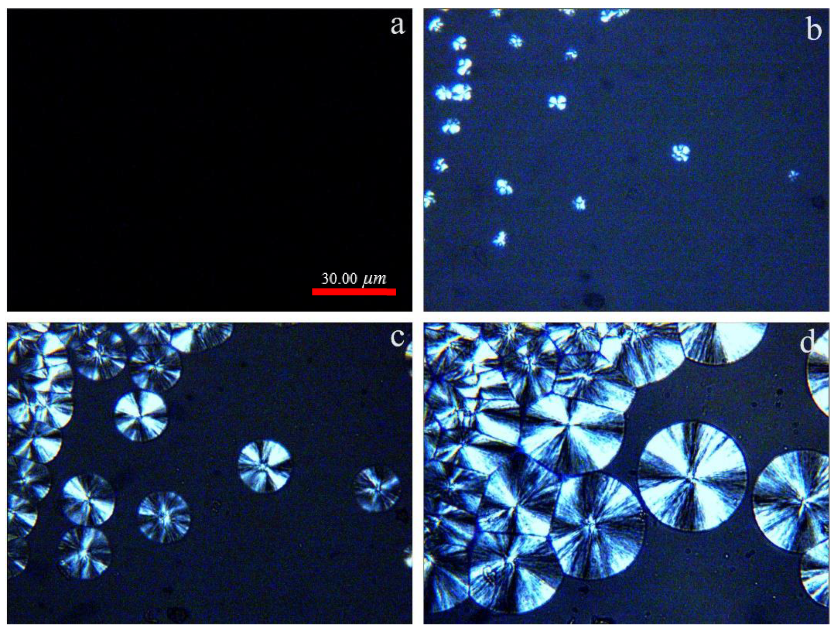 Polymers 13 03377 g004 550