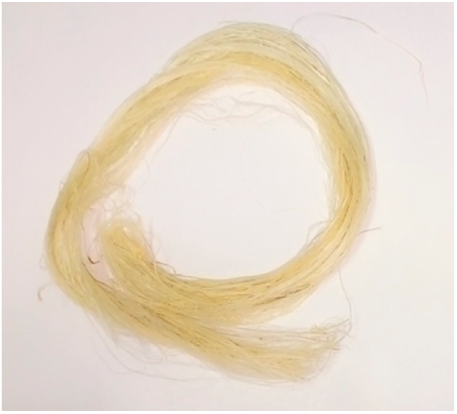 Polymers 13 03381 g001 550