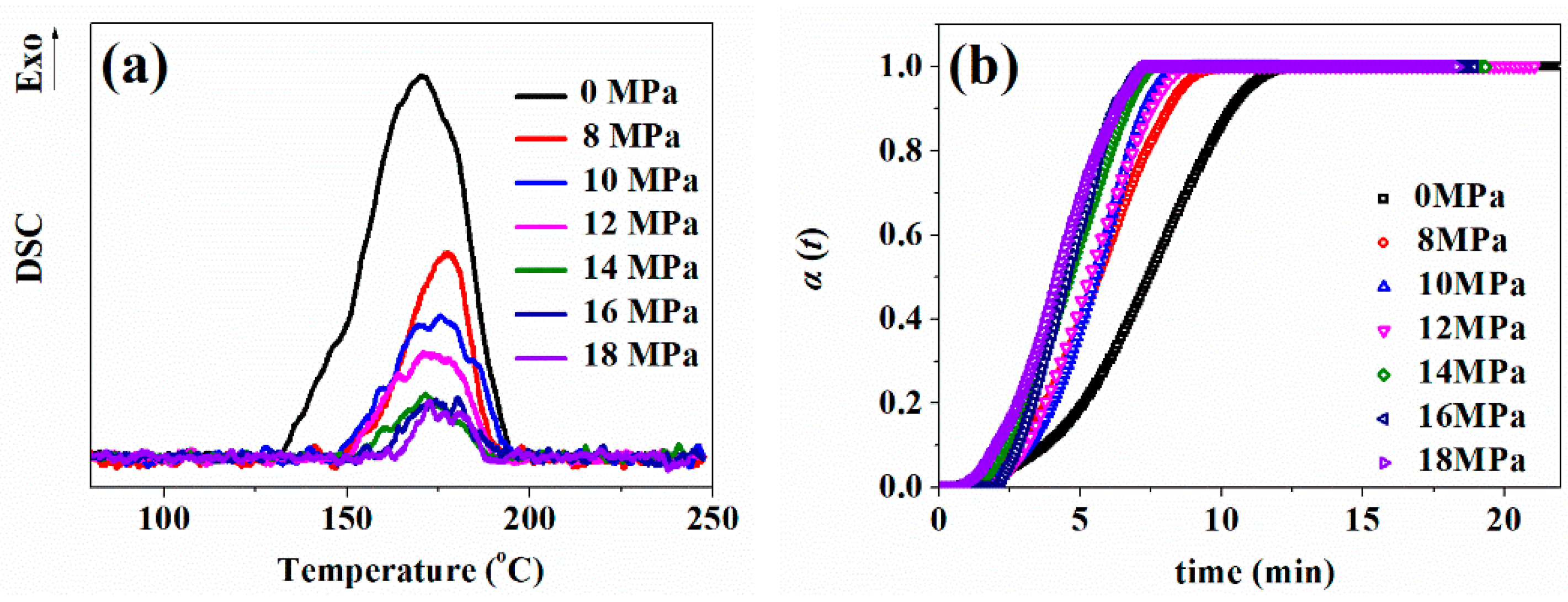 Polymers 13 03384 g006