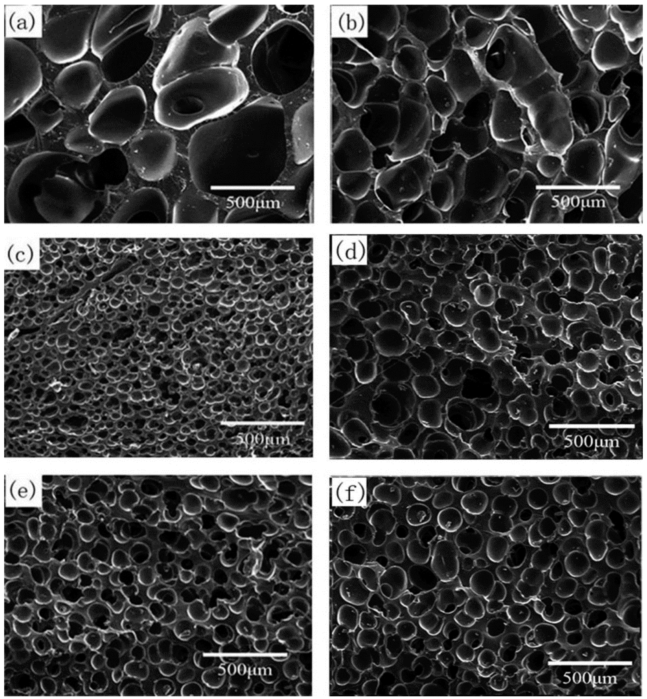 Polymers Free FullText Effect of Vulcanization and CO2