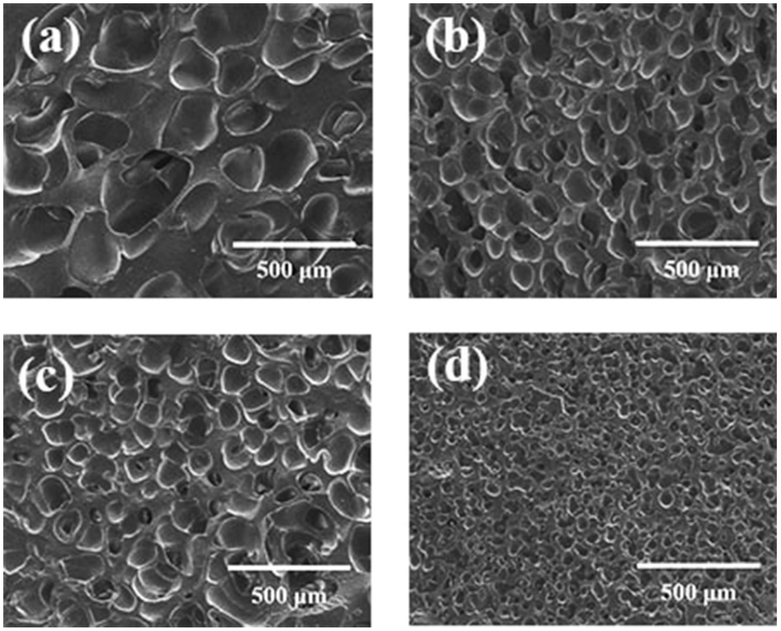 Polymers 13 03384 g012