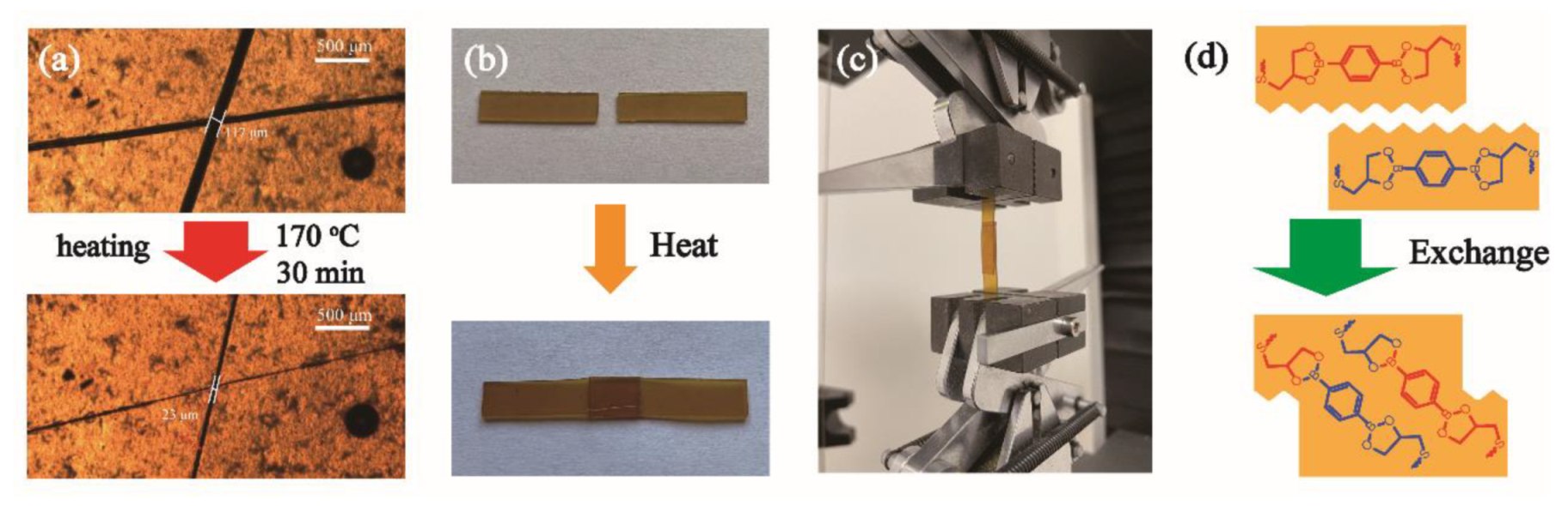 Polymers 13 03386 g008 550