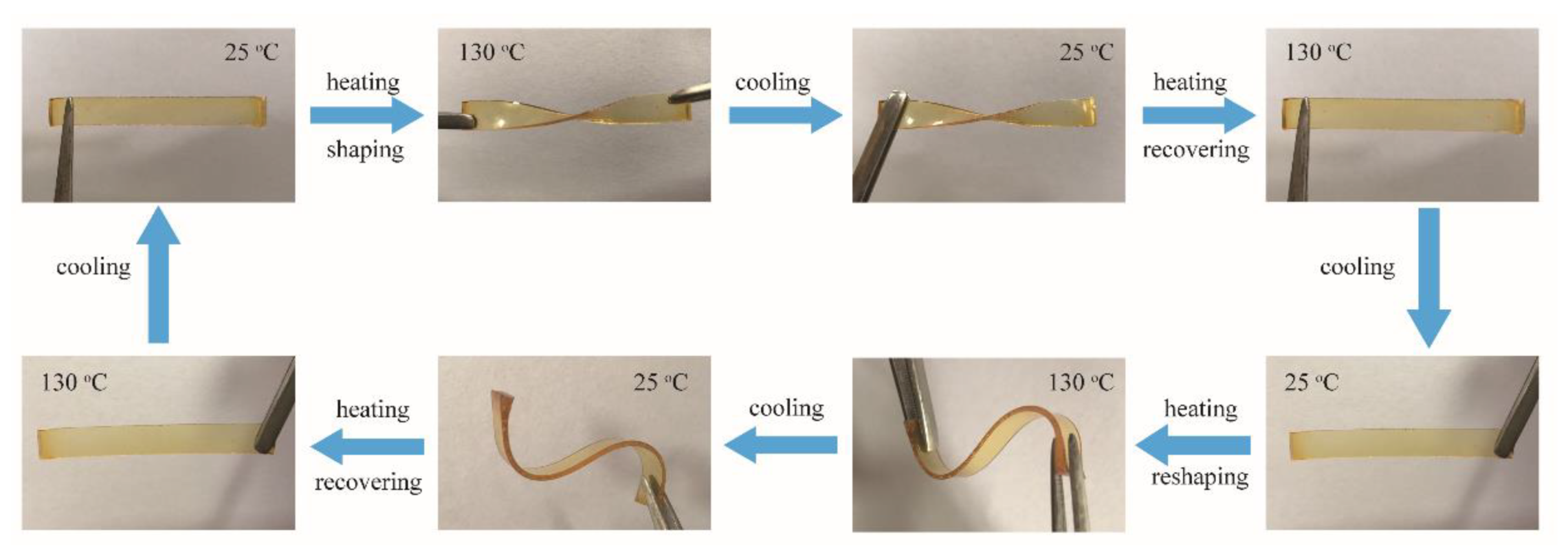 Polymers 13 03386 g010 550