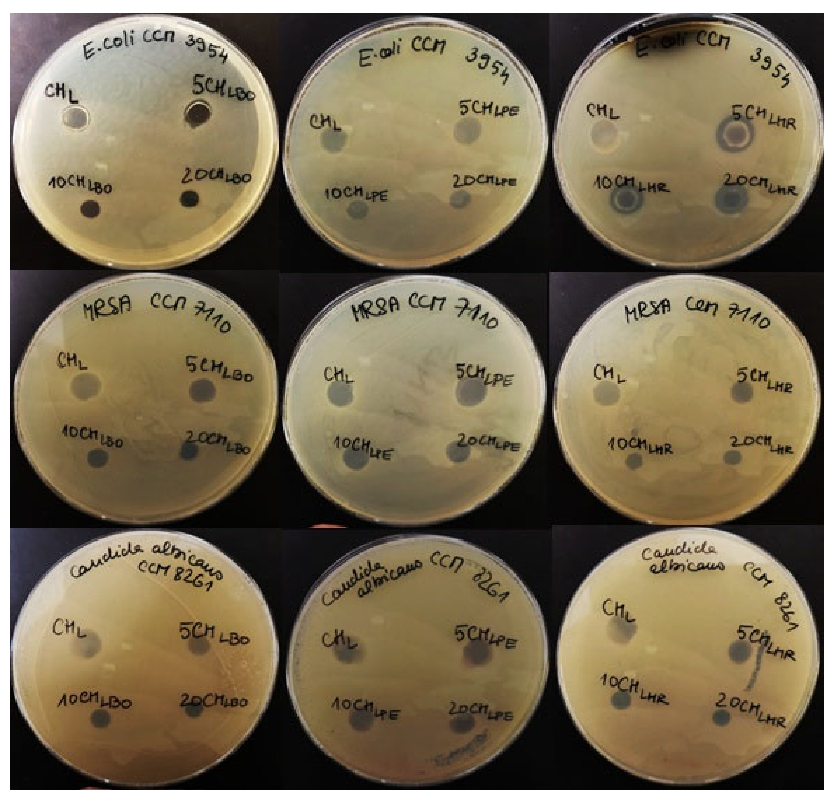 Polymers 13 03388 g003