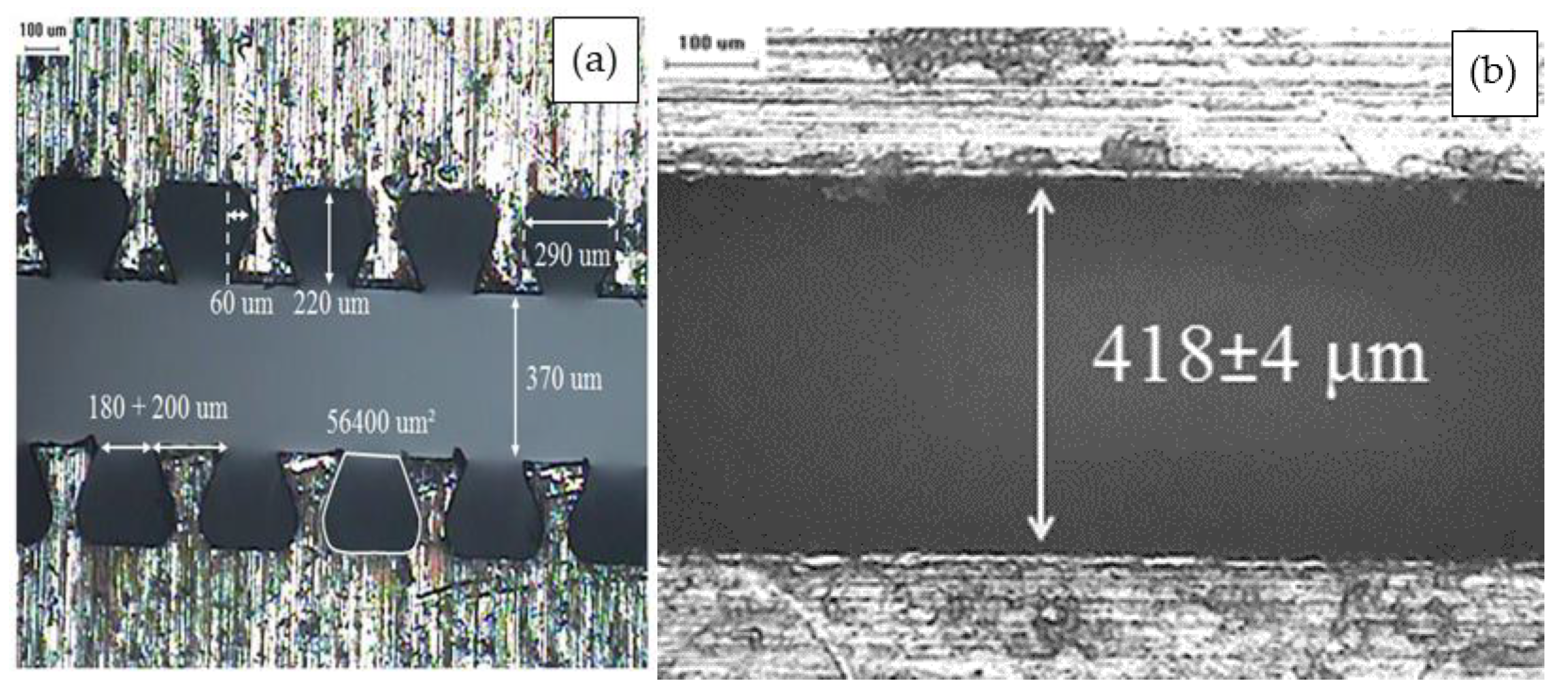 Polymers 13 03393 g001
