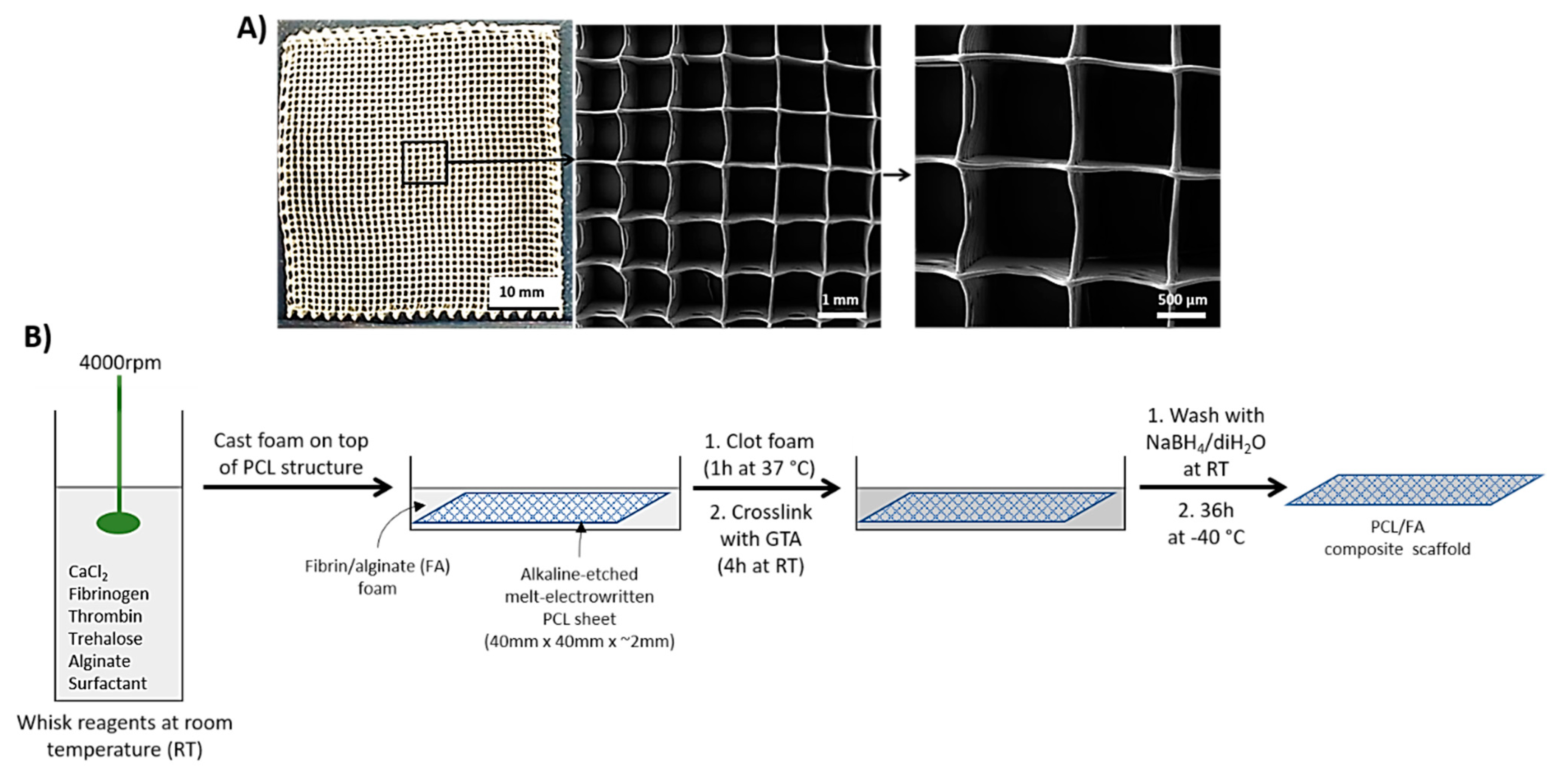 Polymers 13 03399 g001 Polymers 13 03399 g001
