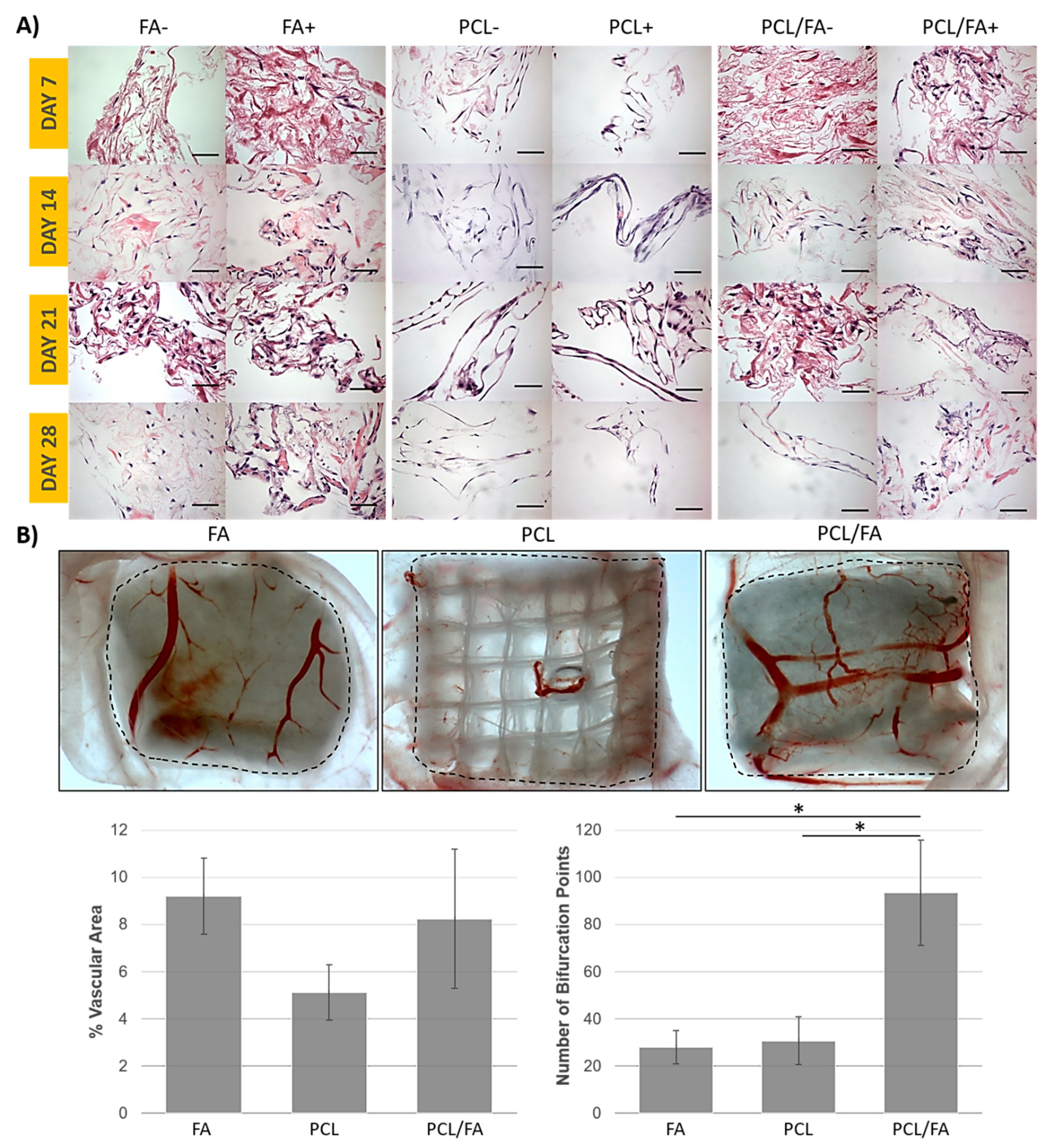 Polymers 13 03399 g007 Polymers 13 03399 g007