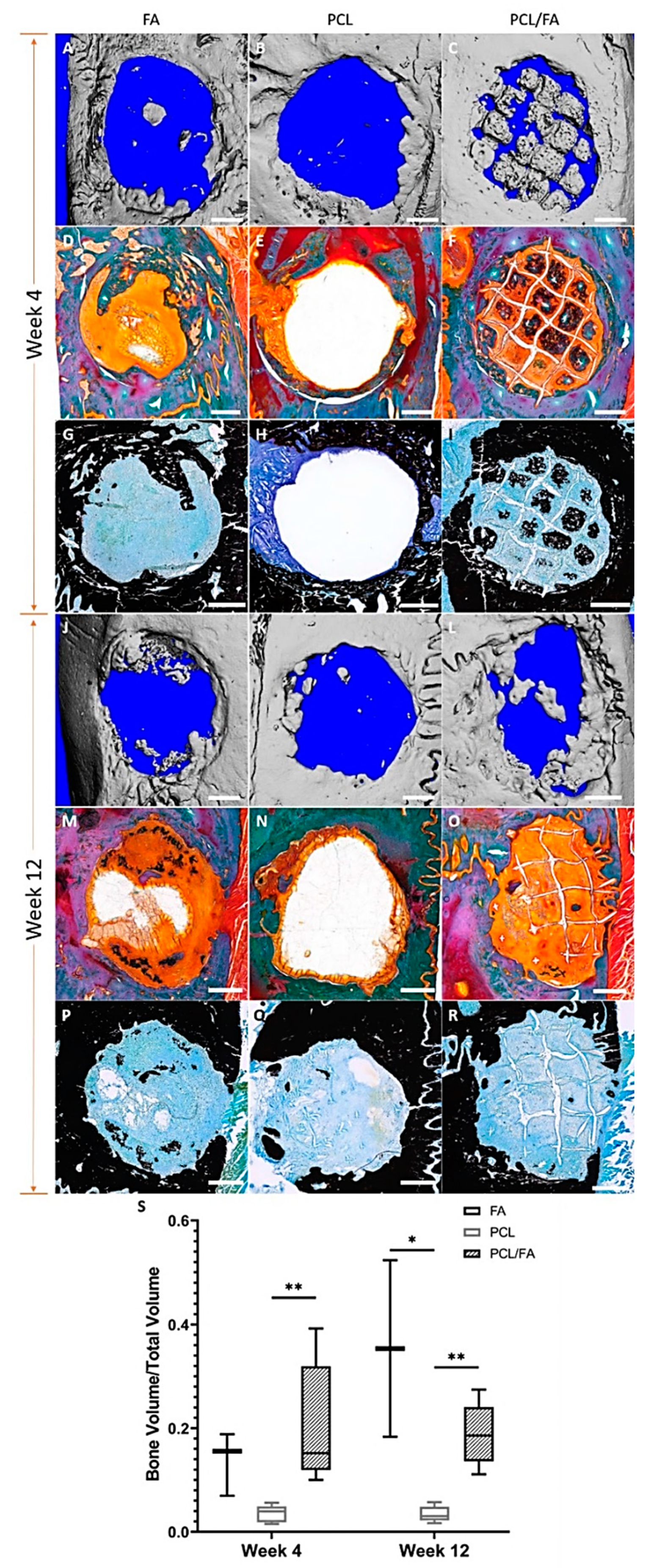 Polymers 13 03399 g008 Polymers 13 03399 g008