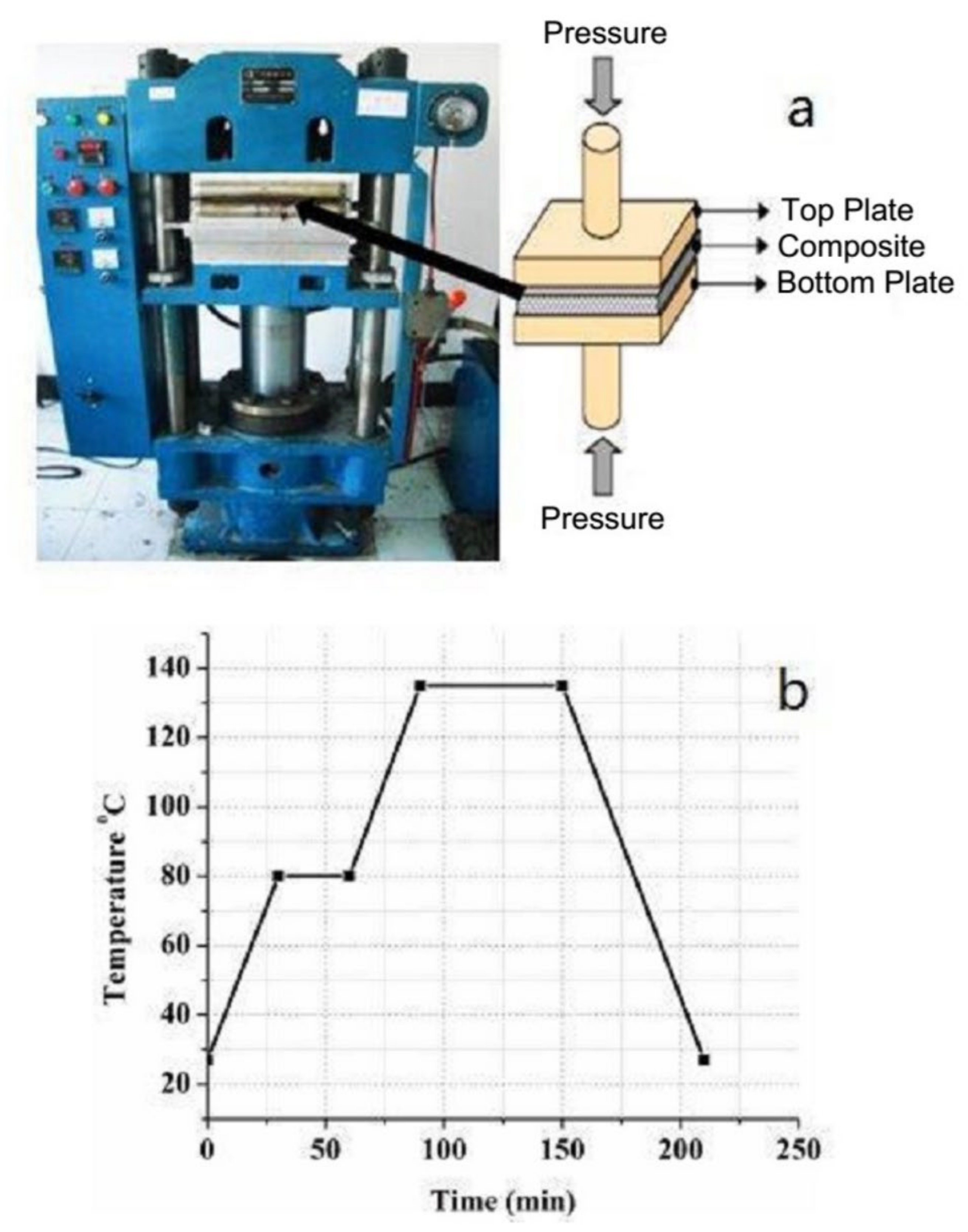 Polymers 13 03404 g001