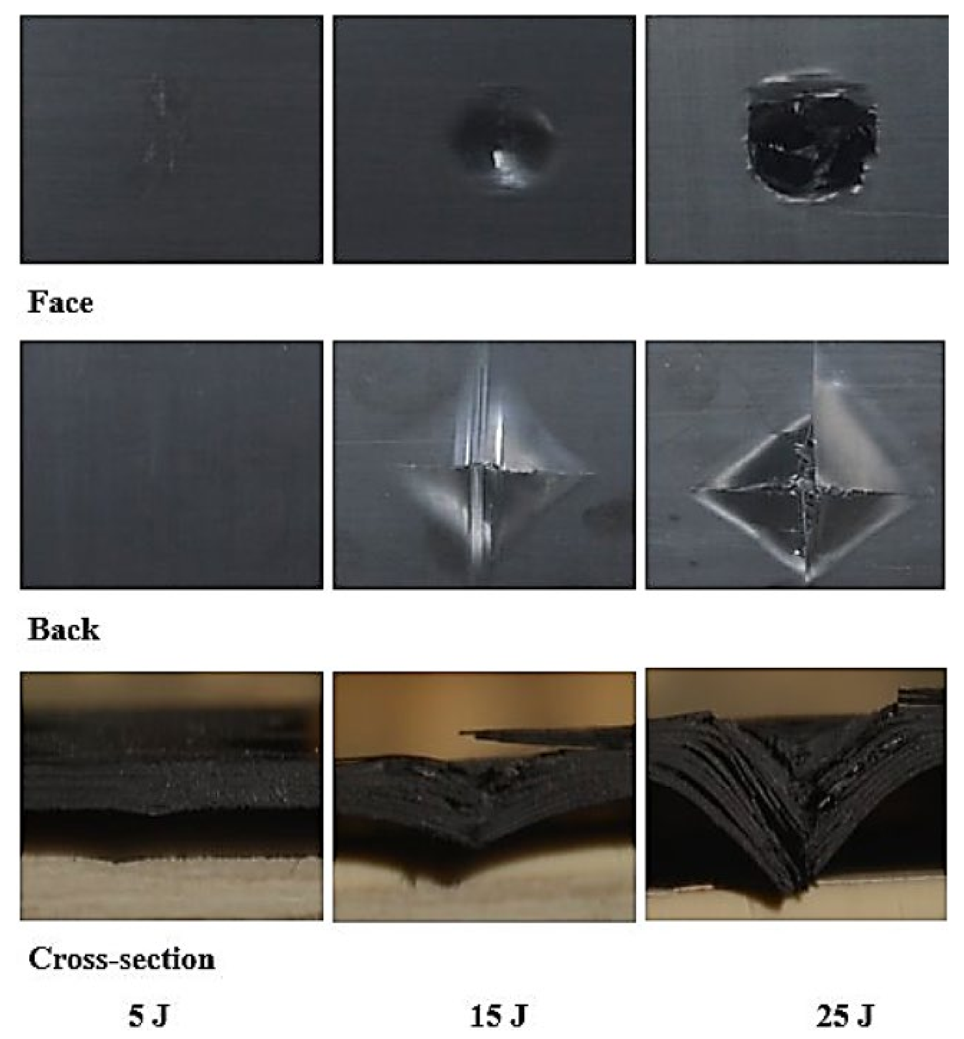Polymers 13 03404 g013