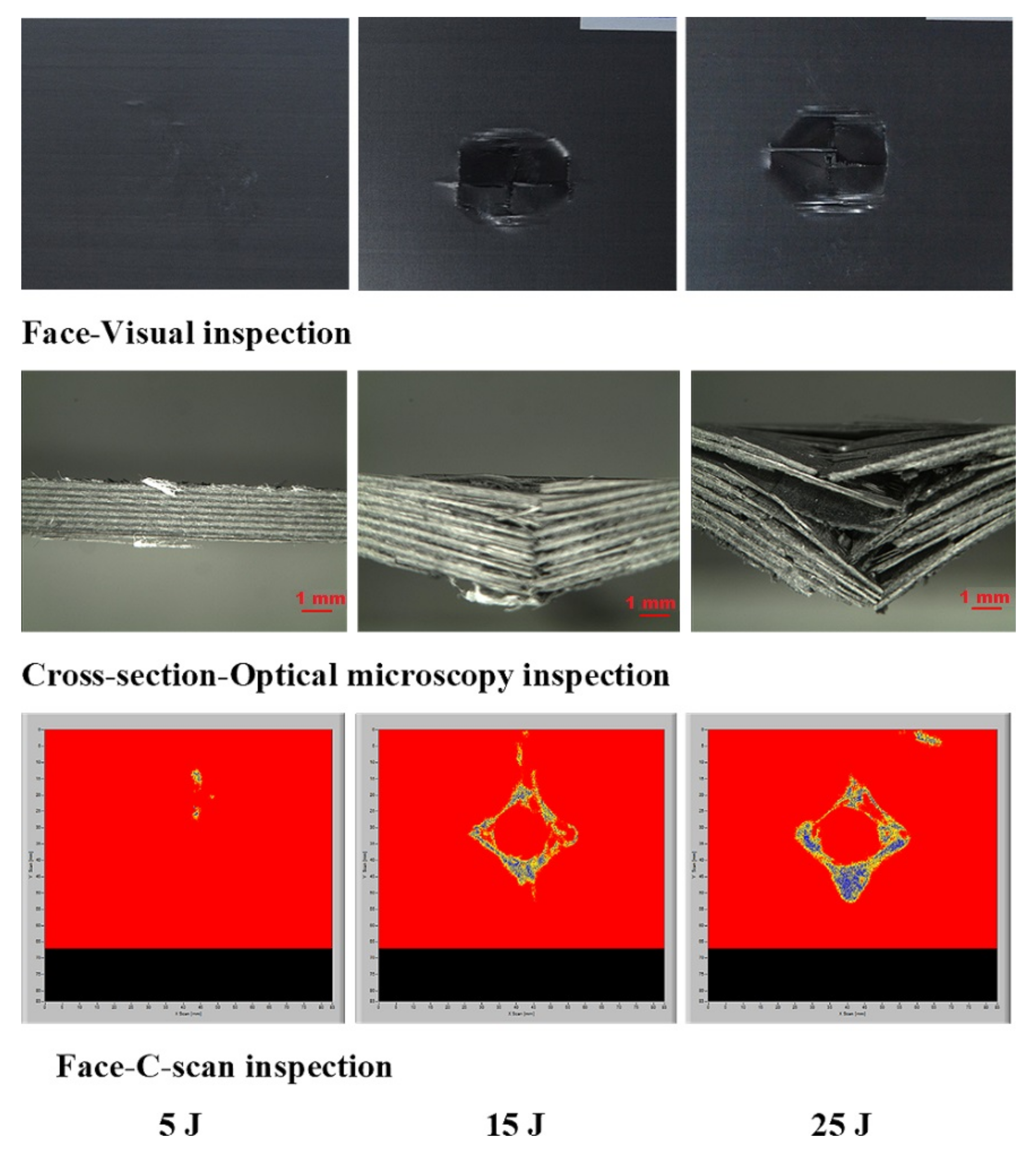 Polymers 13 03404 g018